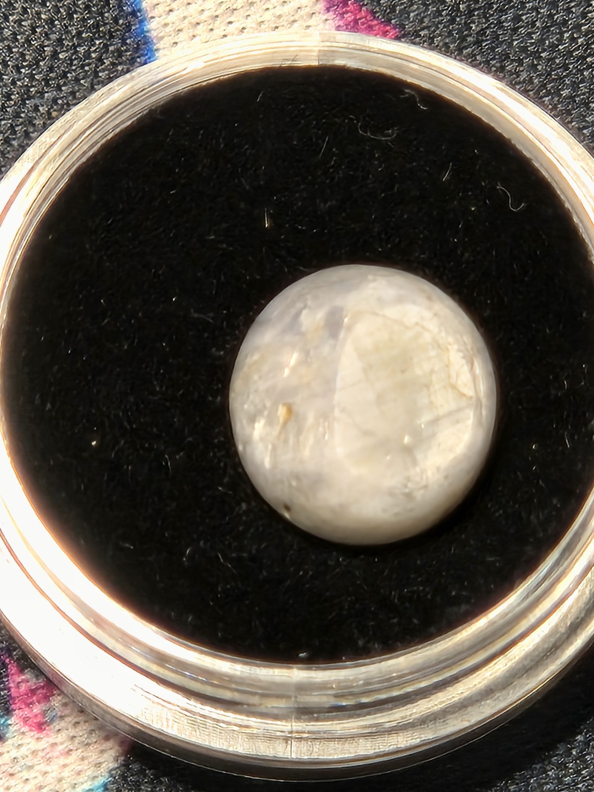Natural Star Sapphire 7.95ct Round Cabochon 10.3mm Gray White Asterism Gemstone