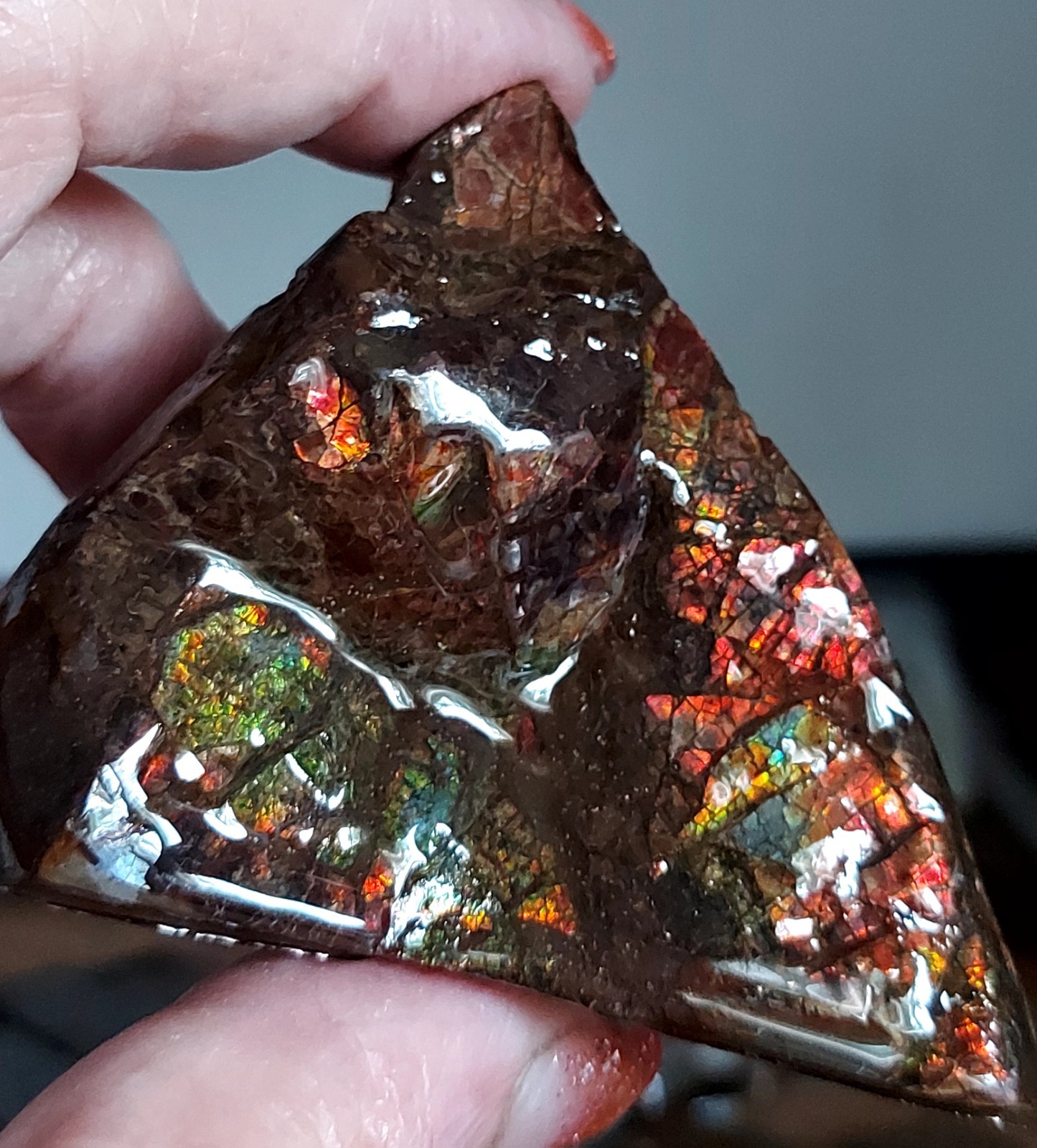 Ammolite Ammonite tabletop Display Piece Fossil Edge Piece 69x53x29.7mm 5179