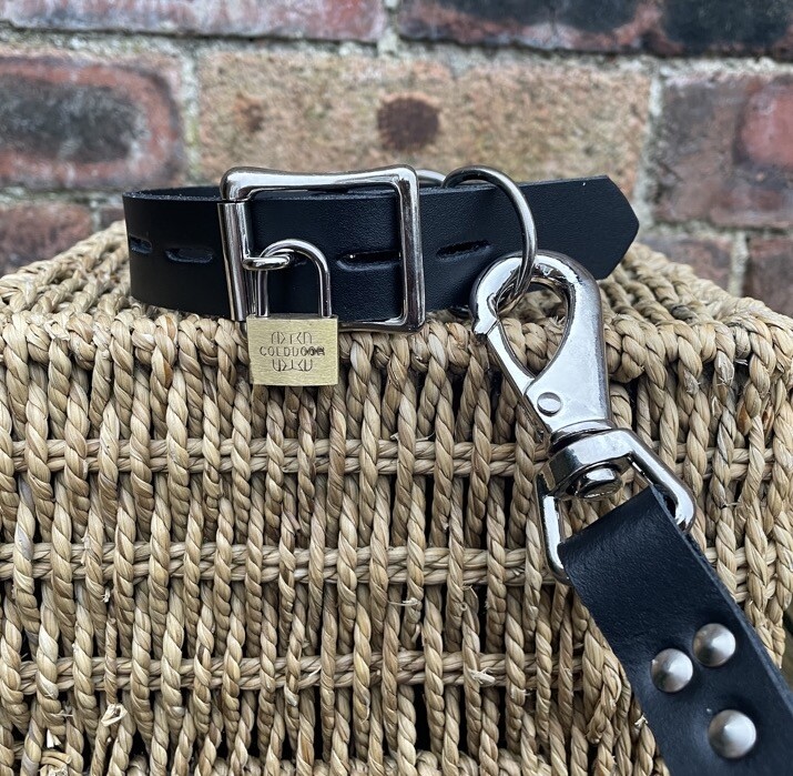 Leather D & O-Ring Lockable Choker Necklace Padlock, with or without Leash