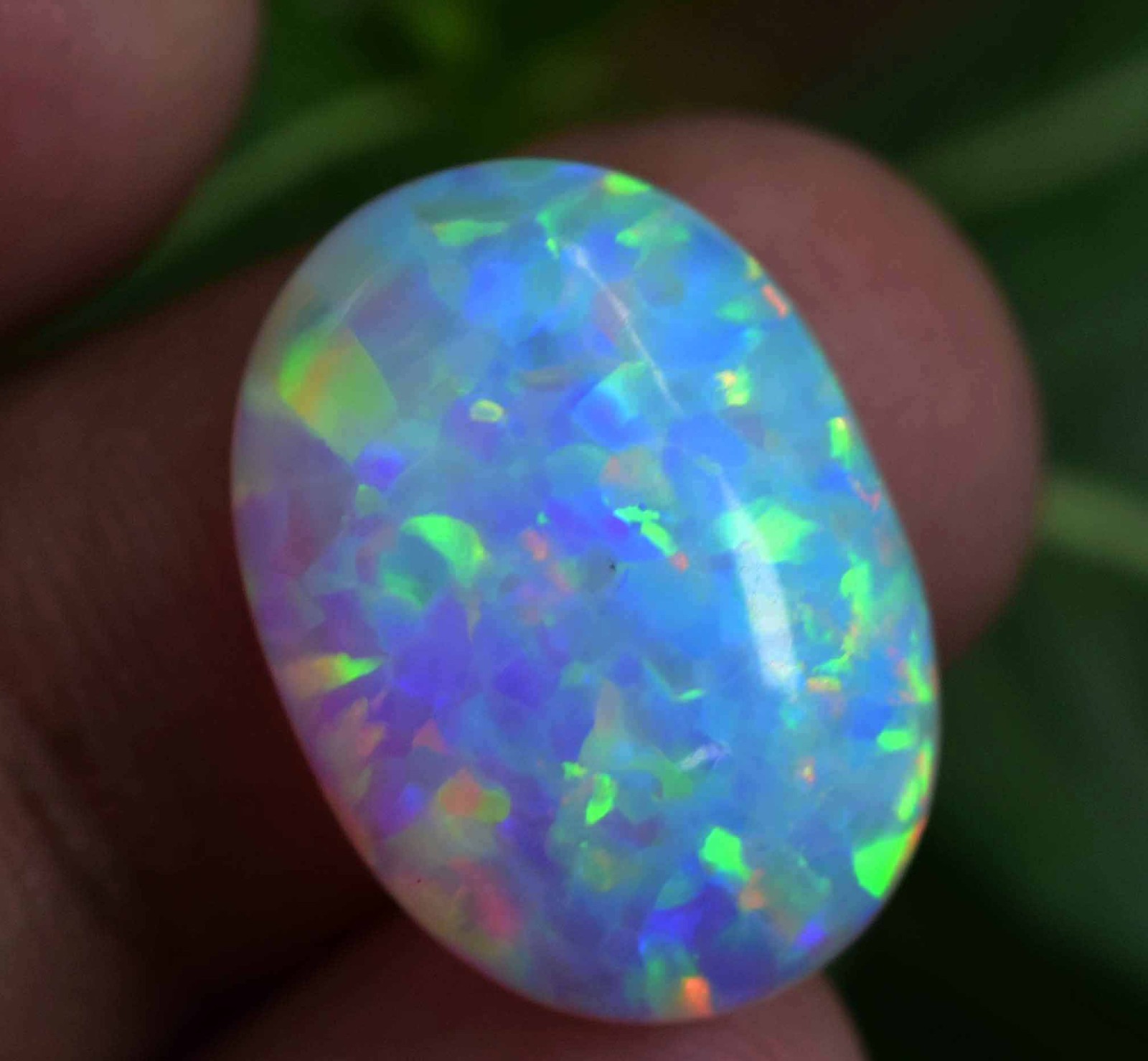 14.05 Ct Natural Ethiopian Fire Opal Certified Play of Color Untreated Gemstone