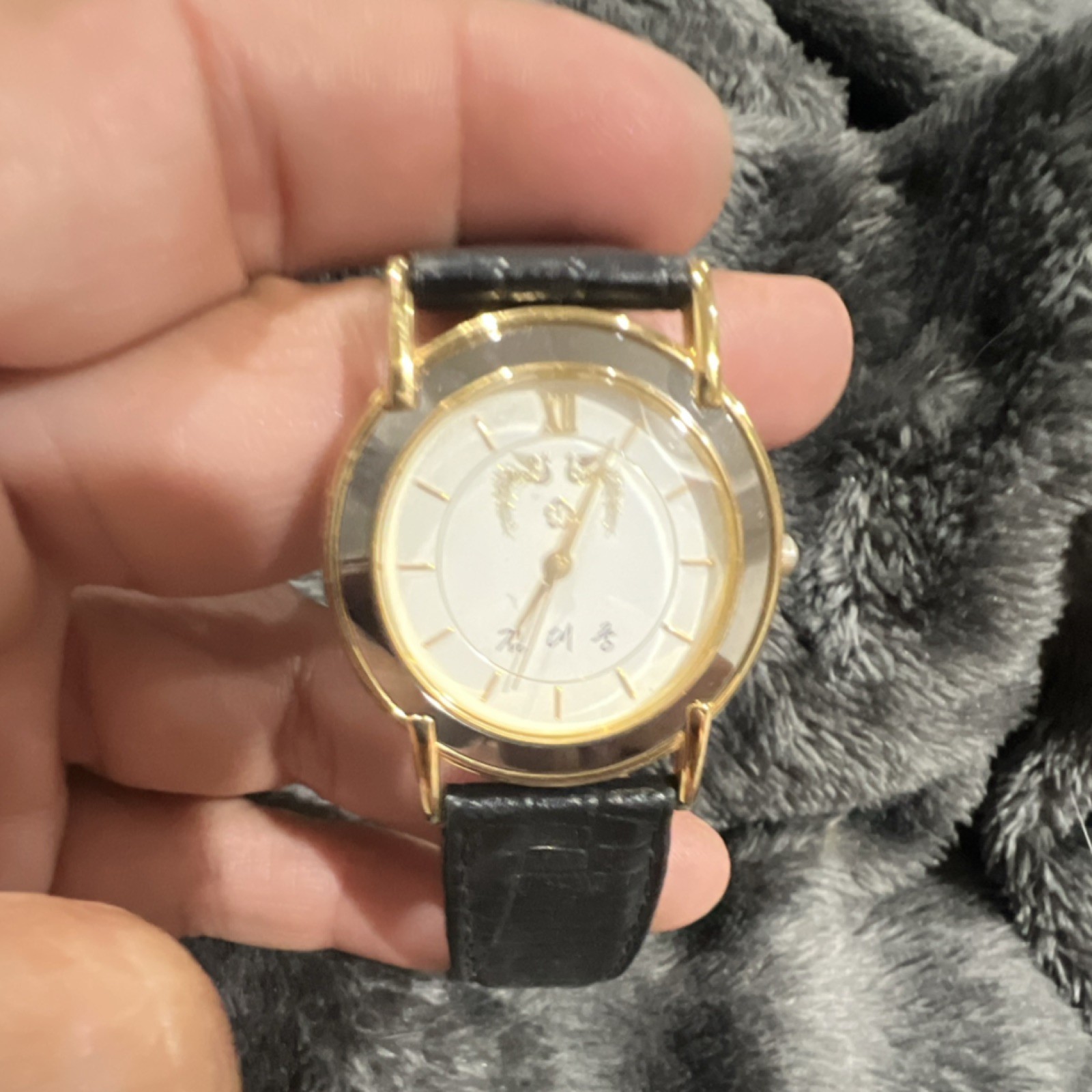 Rare President Kim Dae-Jung South Korean Presidential Blue House Gift Watch