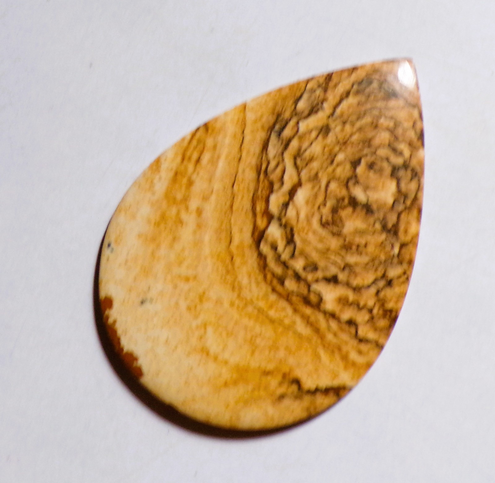 48.30 Cts Natural Picture Jasper Cabochon Loose Gemstone 51X36X4MM