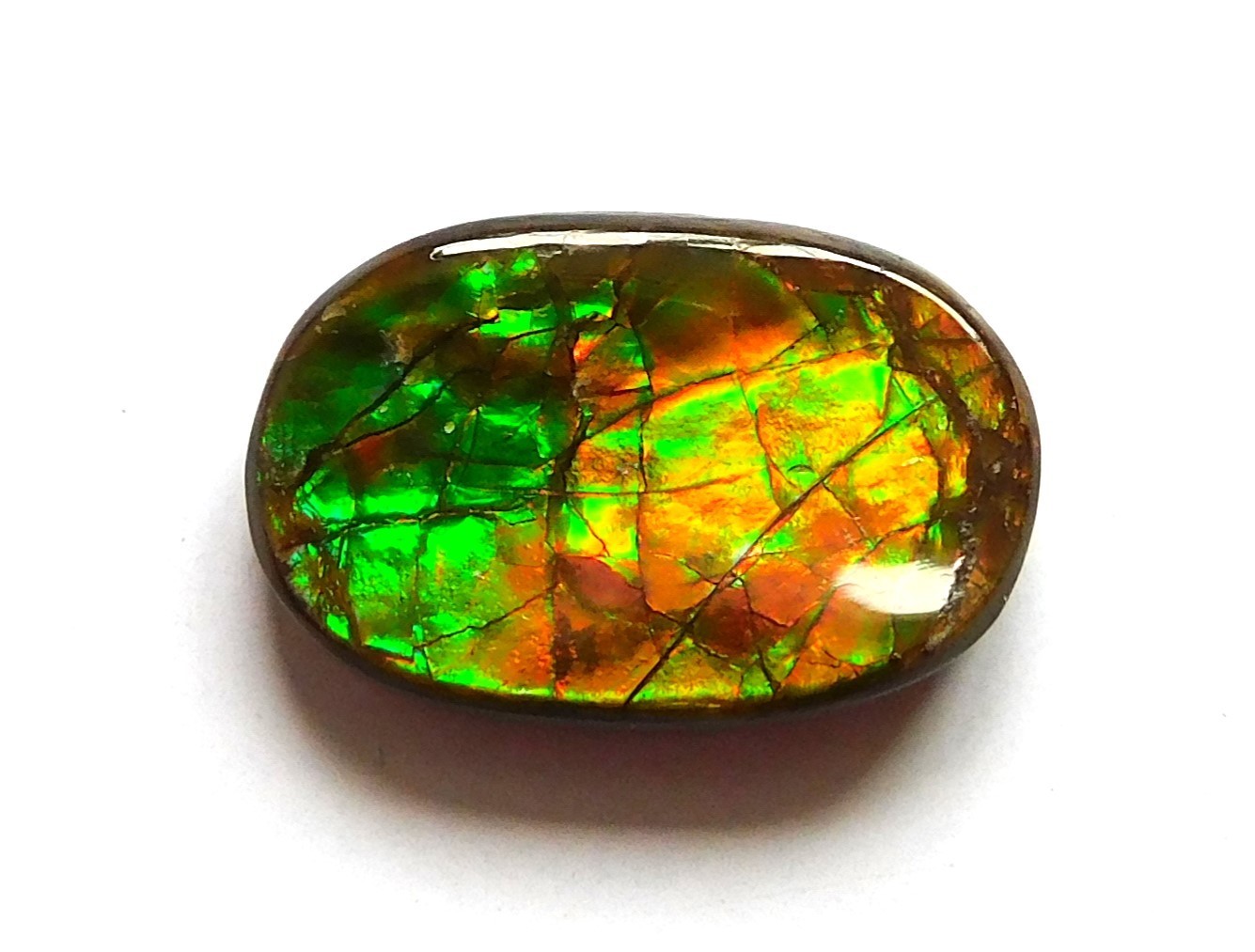 11.70 Ct Natural Canadian Ammolite Cabochon Loose Gemstone 18.4X12X4.4MM JK105