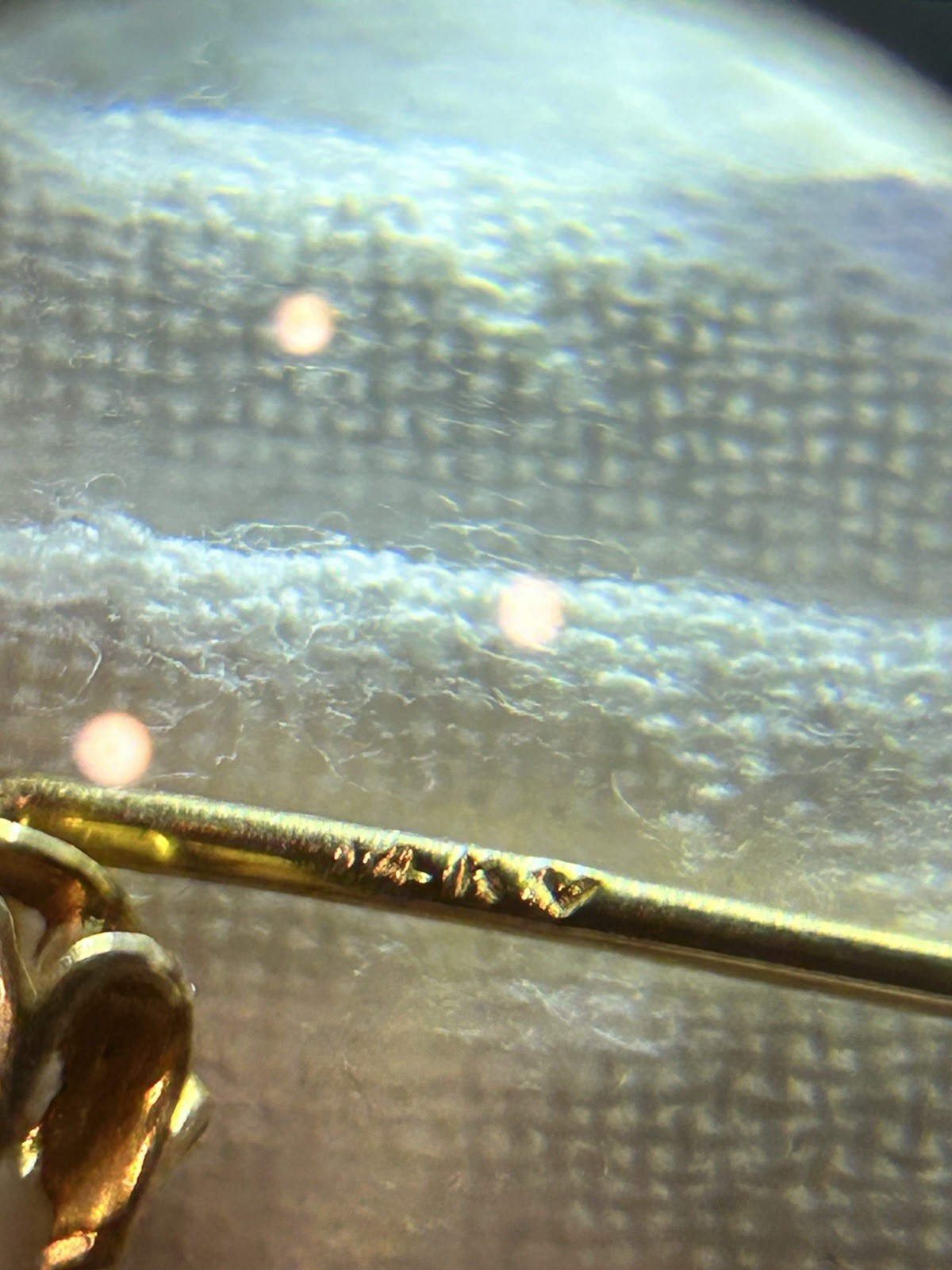 Antique Larter & Sons 14K Yellow Gold Seed Pearl Stick Pin in Presentation Box