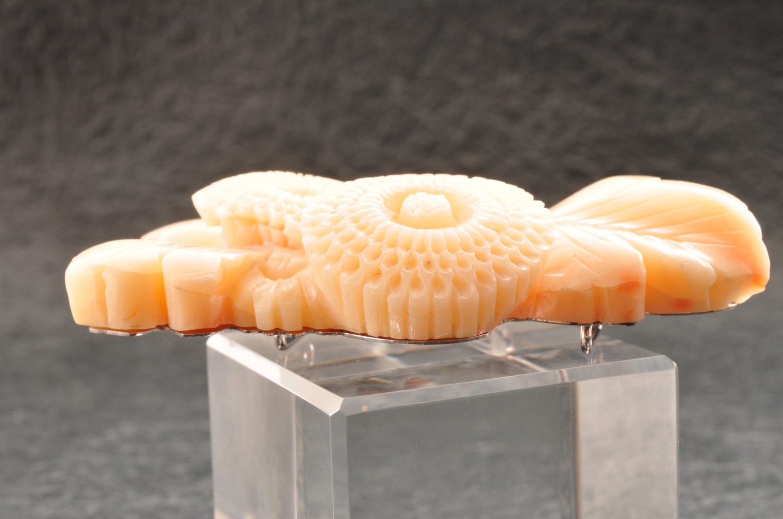 Vintage angel skin coral OBIDOME, “chrysanthemum” Certificate, (69mm 266.0ct).