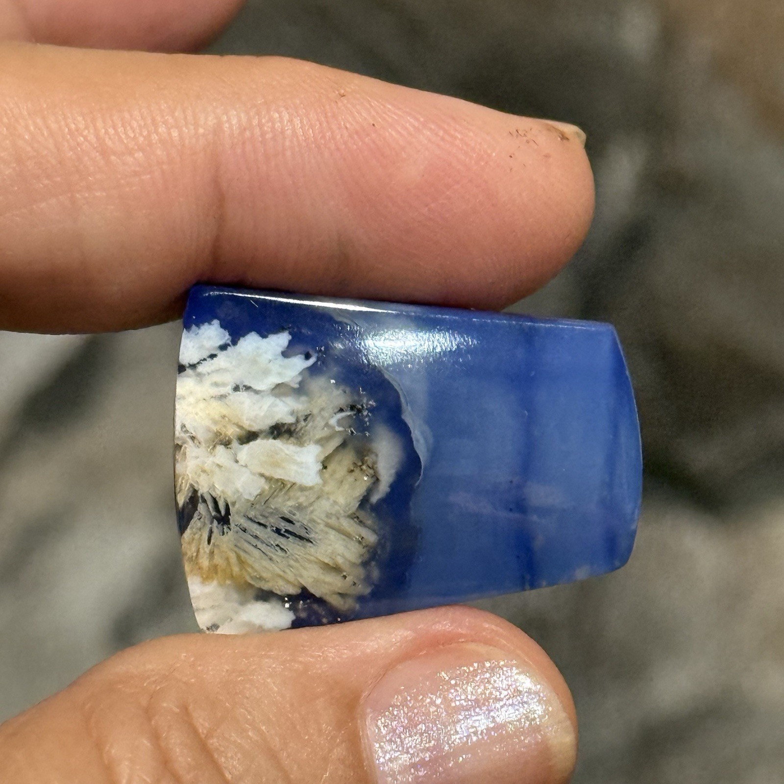 32.3ct 28x21x5mm Flower Plume Agate And Lapis Lazuli Doublet Cabochon Gem