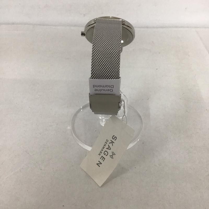 SKAGEN analog (quartz) wristwatch Watch Analog (Quartz) SKW2738 with box USED 2N