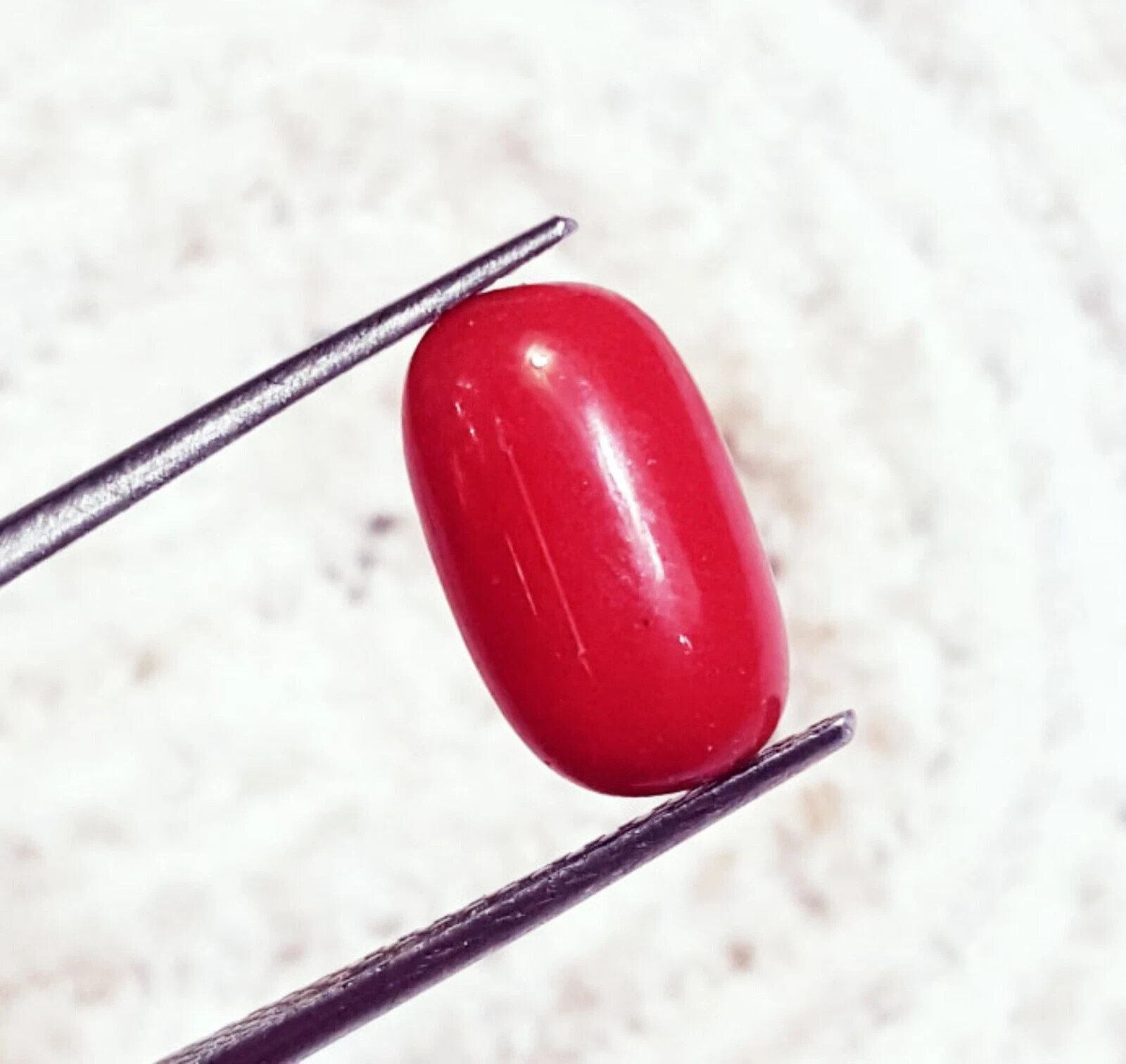 Loose Gemstone 100% Natural Red Coral Cabochon 5.20 Cts Certified With Free Gift
