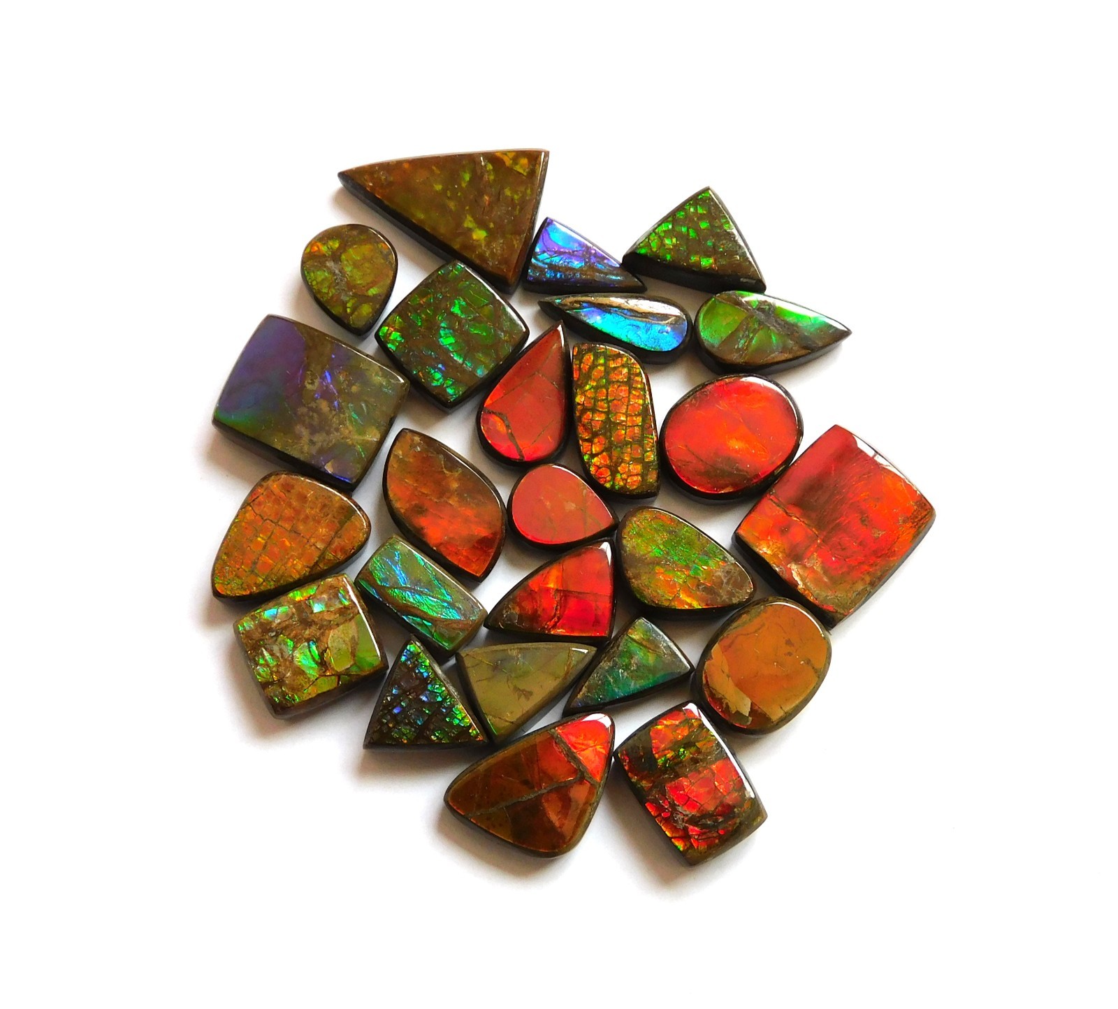 121.65 Cts Natural Ammolite 25 Pcs Lot Loose Cabochon Gemstone CN07