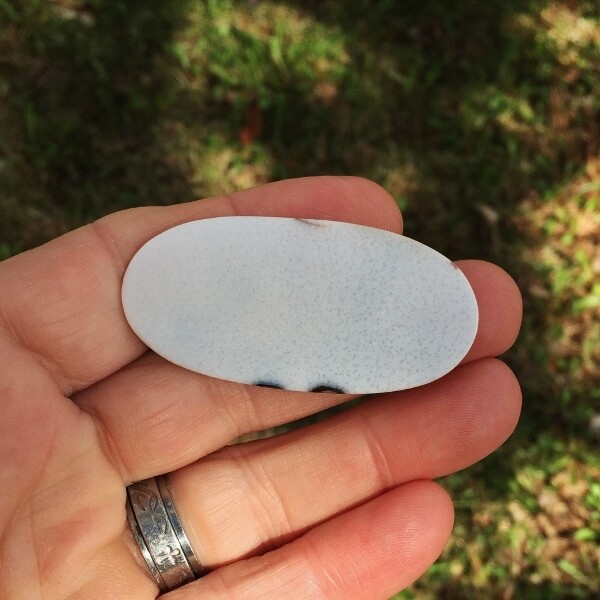 All Natural! Fine Quality Dendritic Agate India GLI