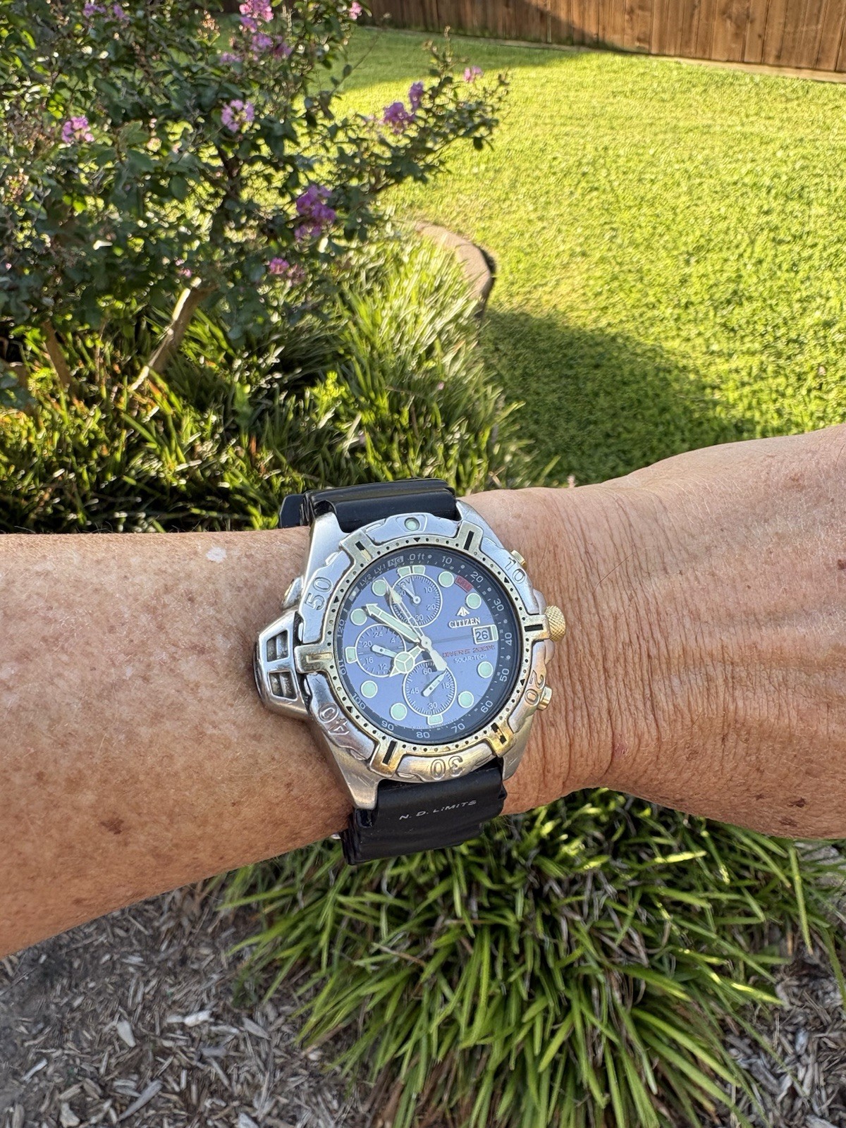 Rare Vintage 1998 Citizen Solar-Tech Aqualand Mens Divers 200M Watch