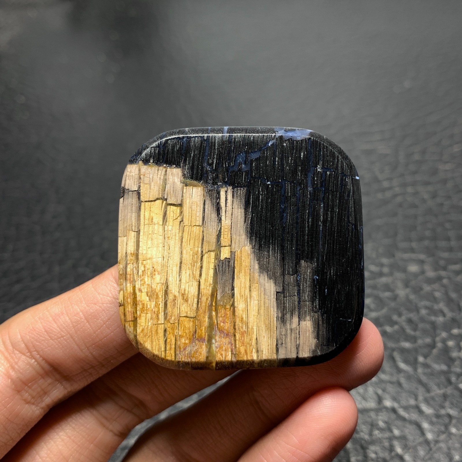 Petrified Wood Cabochon 41.5×41.5x6mm High Quality 105 ct