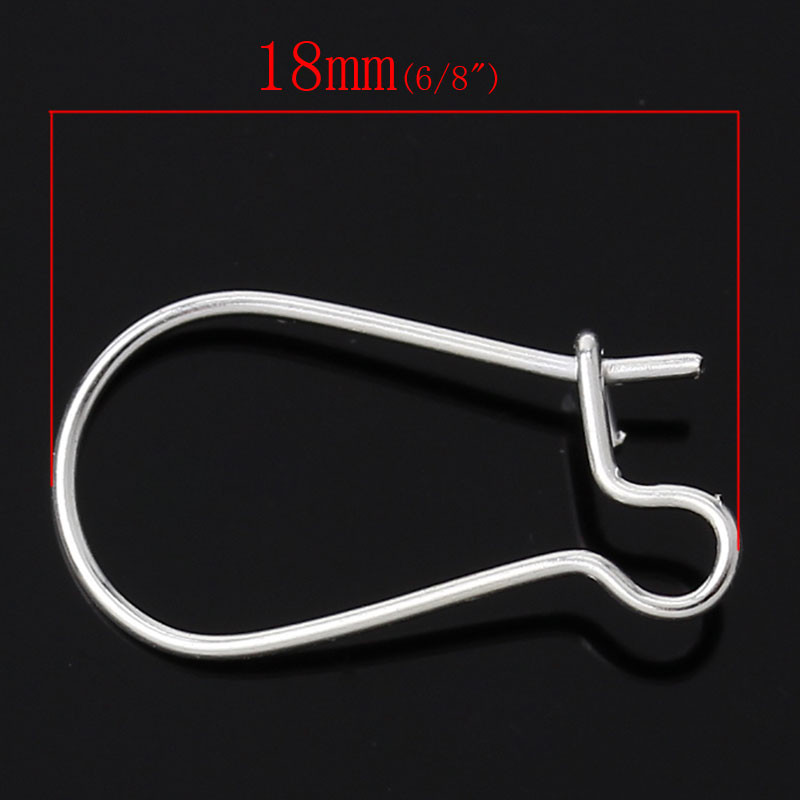 Sexy Sparkles 50 Pcs Silver Plated Ear Wires 18mm X 10mm