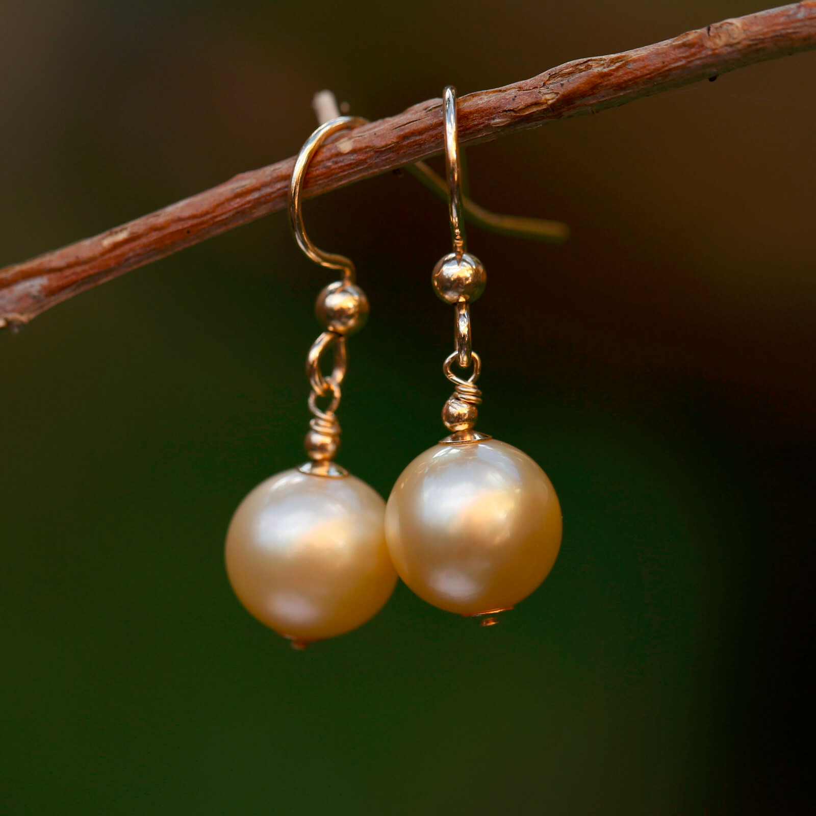 9.5-10mm natural high luster Australia gold seawater Pearl 14KGF Earring 29.5mm