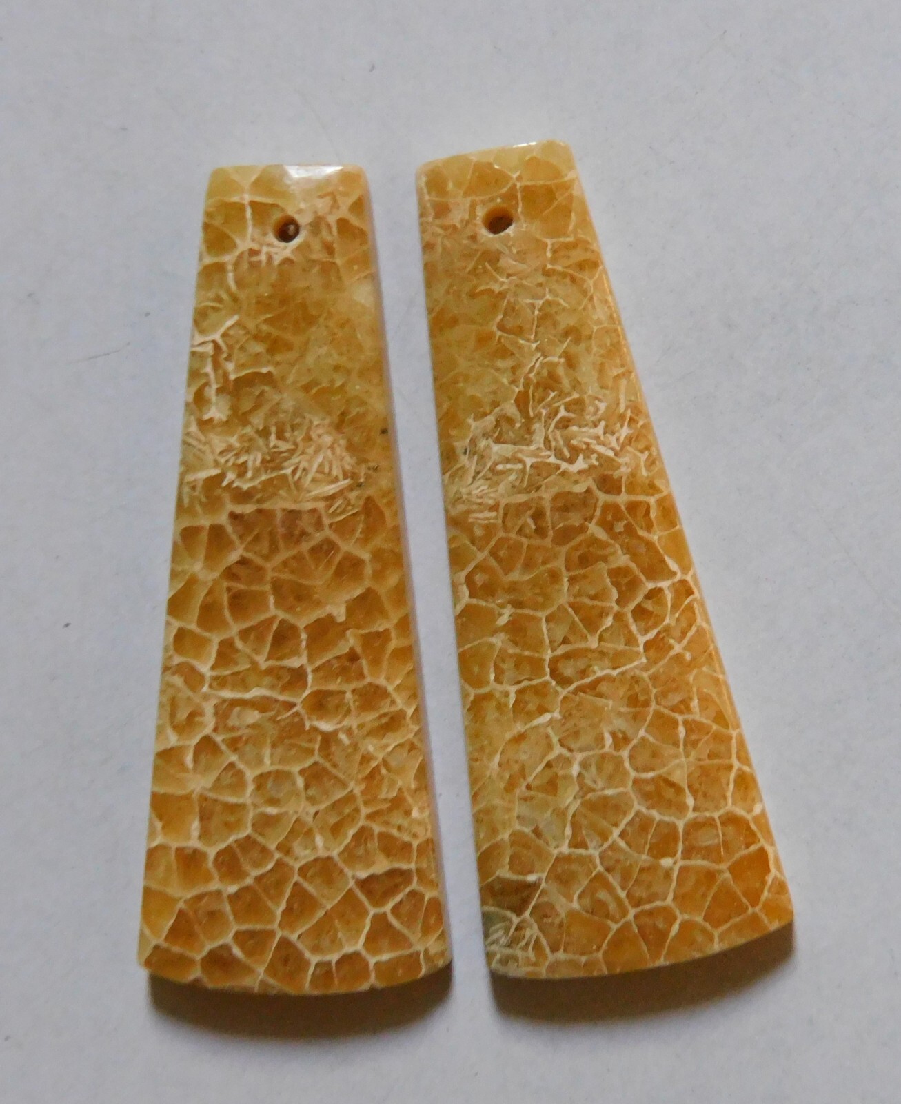 31.75 Cts Natural Fossil Coral Drilled Cabochon Match Pair Gemstone 35.6X13.3MM