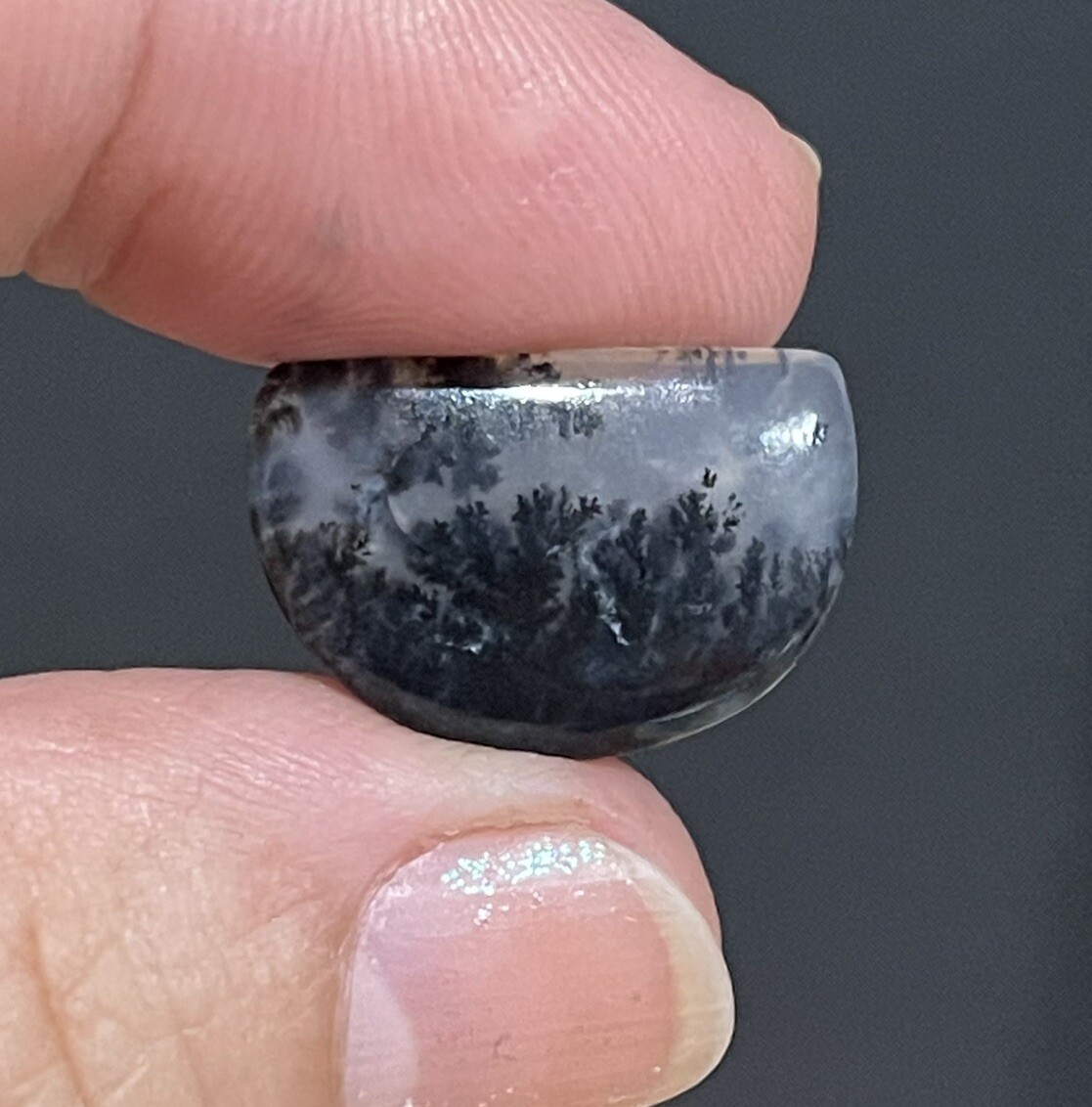 7ct 19.3x13x4mm Fine Dendritic Agate Smooth Cabochon Loose Picture Stone