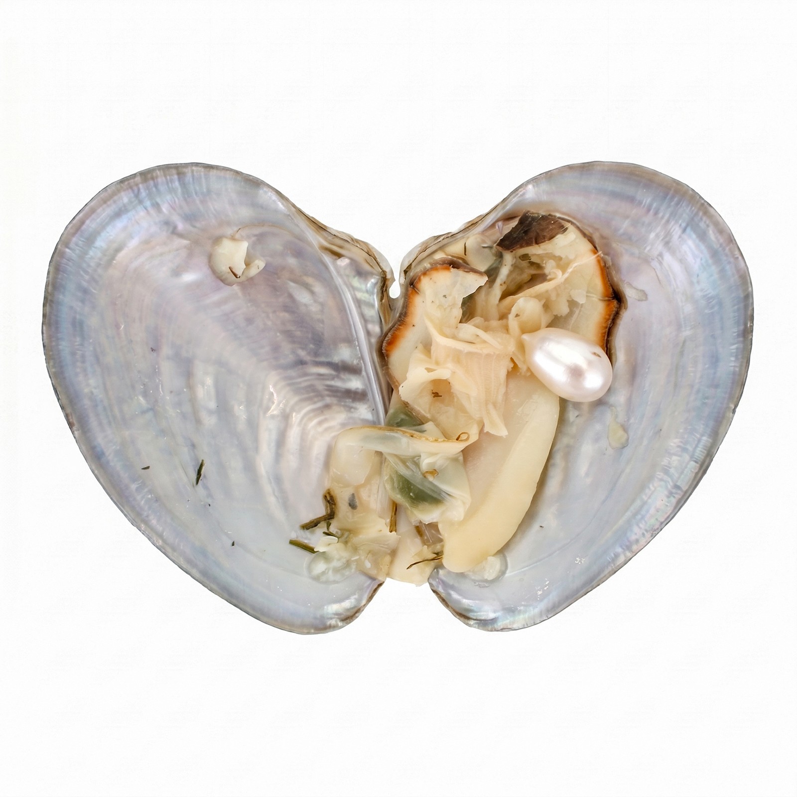 Pearl Clam Necklace With Stainless Steel Chain & Brass Fashion Jewelry For Women
