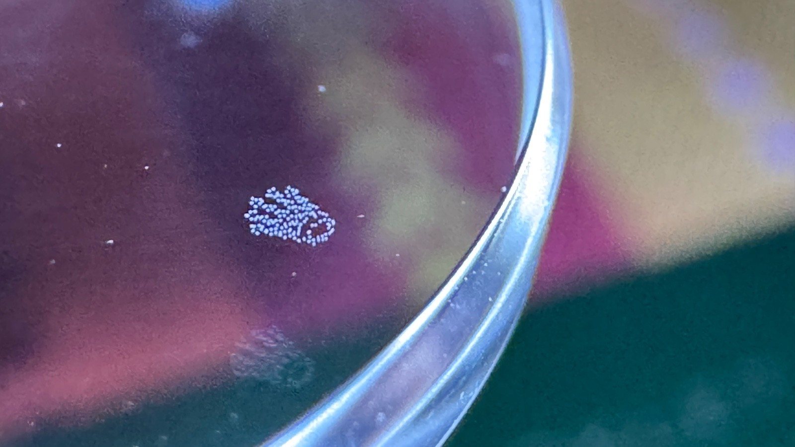 Rolex Sapphire Crystal Swiss Made Rolex Crystal AR LEC – 3.5mm Thickness