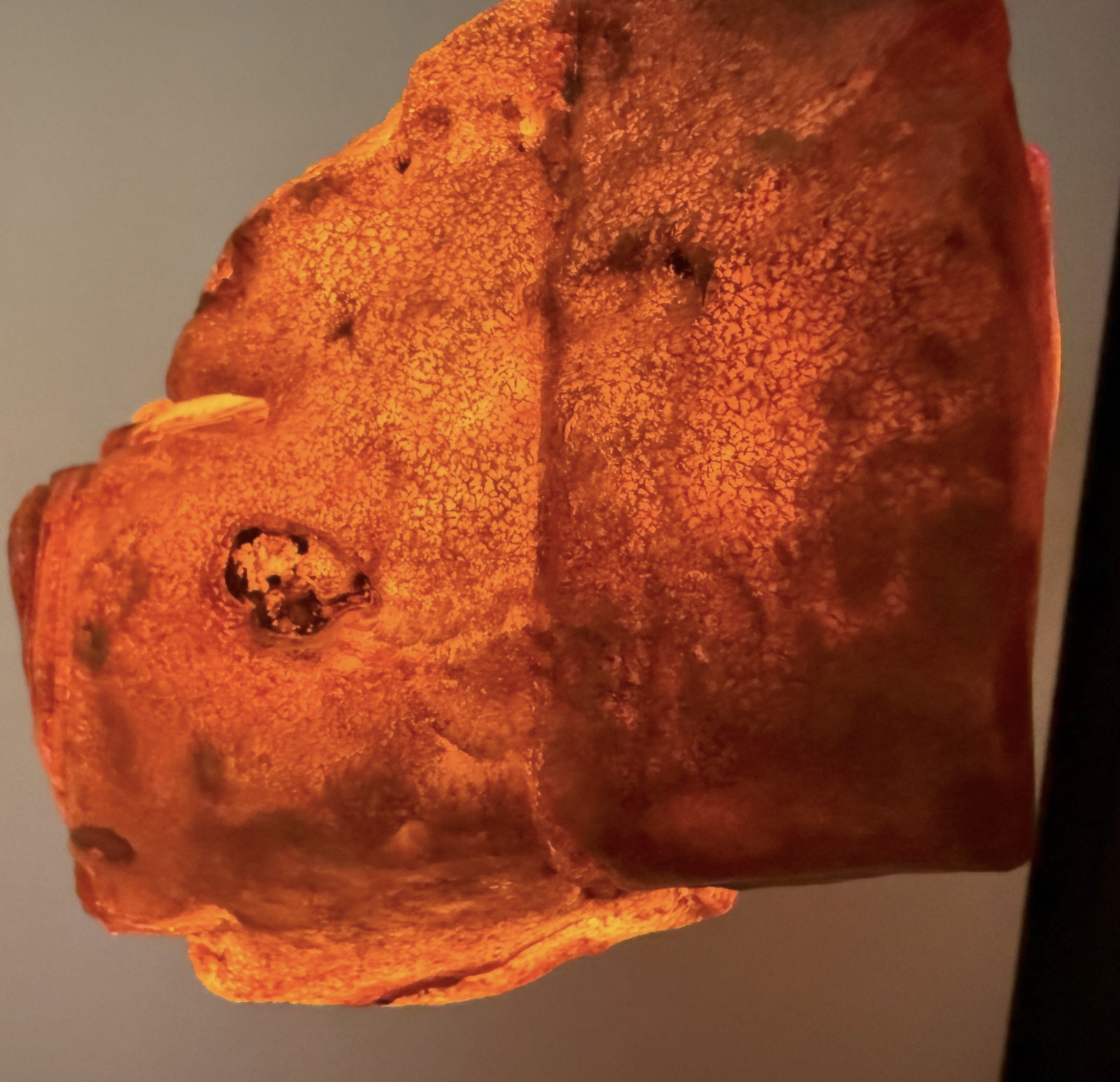 Unique Raw Whole Stone natural Amber 154.6g