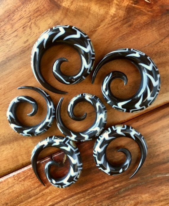 PAIR Organic Abalone Inlay Horn Spiral Tapers Plugs Gauges 2g, 0g, 00g