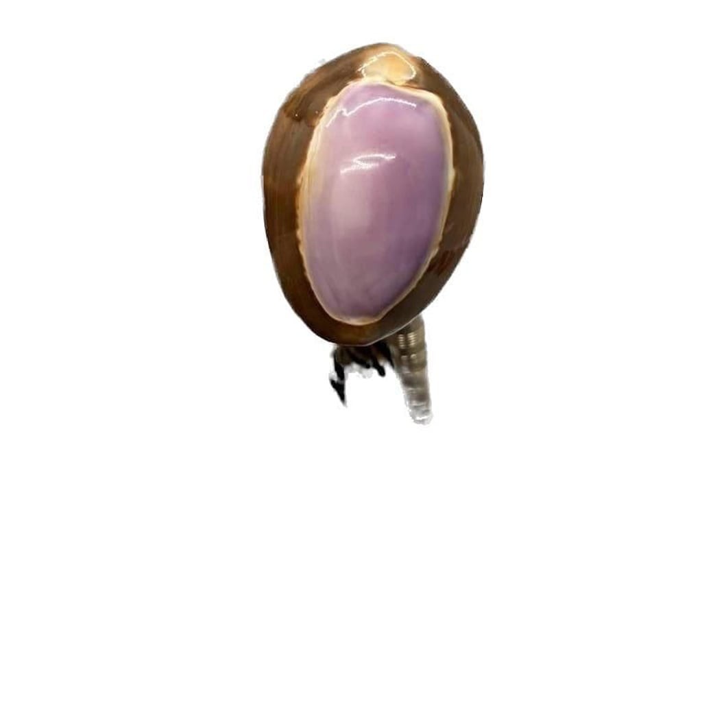 Handcrafted Purple Top Cowrie Shell Bolo Tie Braided Cord Metal Tips Coastal Vtg