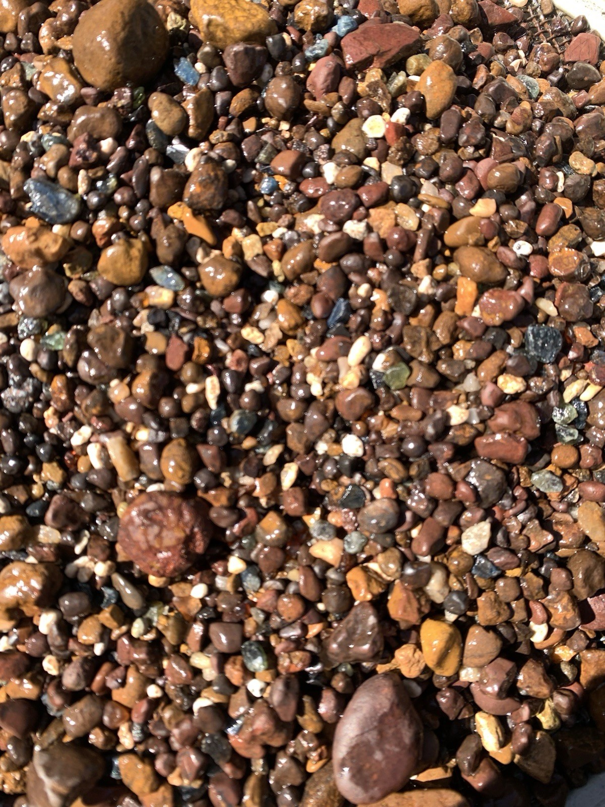 SAPPHIRE WASH CONCENTRATE RUBYVALE QUEENSLAND GEM FIELDS 300 GRAM BAGS SWC001