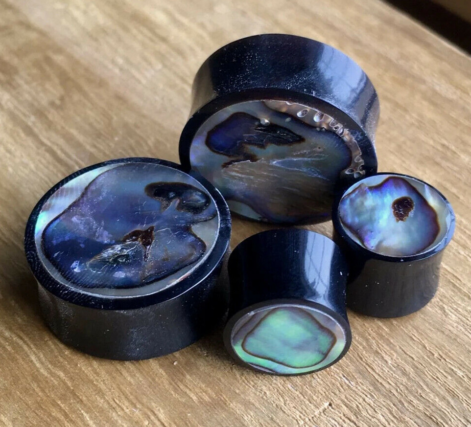 PAIR Horn Plugs w/ Abalone Inlay Earlets Gauges Organic Body Jewelry