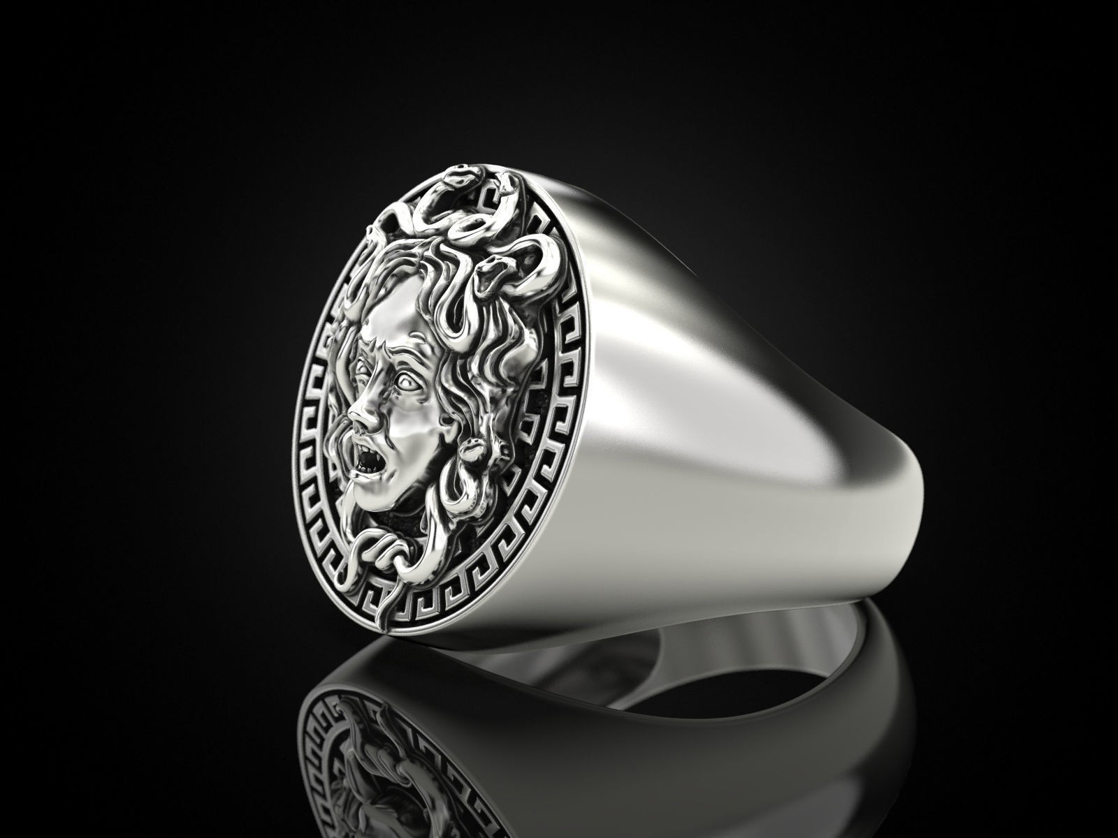 Oxidized Men’s Medusa Gorgon Gothic Punk 925 Sterling Silver Statement Rings