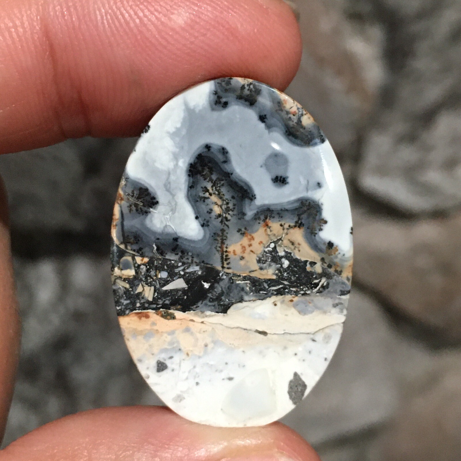 33x23x5mm Fine Scenic Oval Maligano Jasper Cabochon Picture Stone