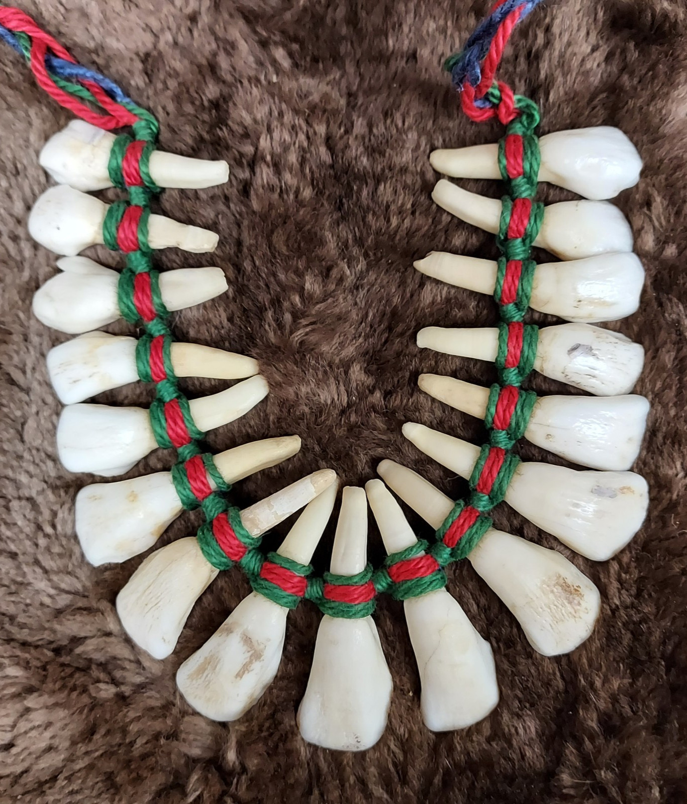 REAL Natural Vintage Tribal Ethnic Necklace Tooth / Unknown Animal TEETH