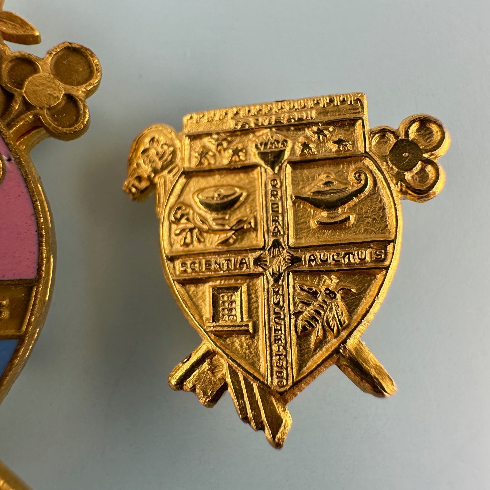 Vintage Coat of Arms Pin Lot Gold Tone Facital Scientia Auctus Opera Pulchritudo