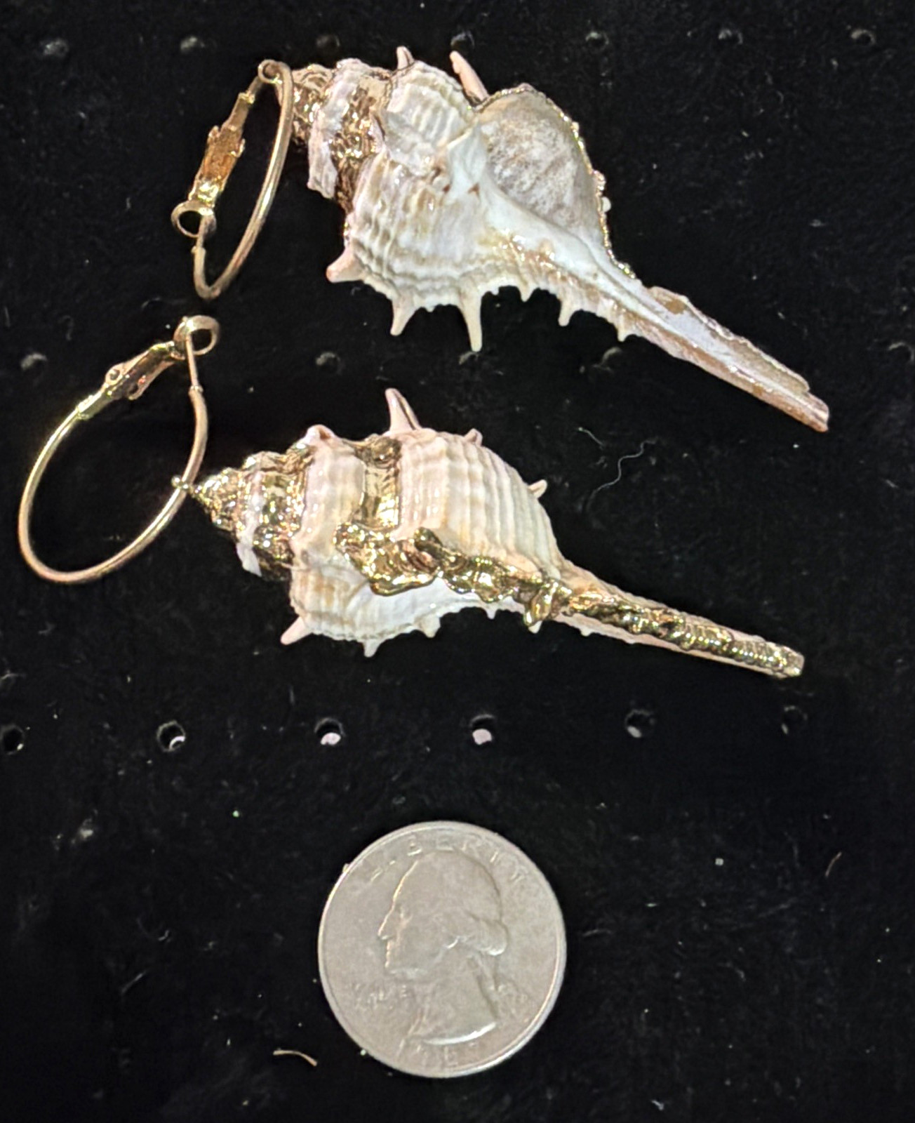 Conch Shell Hoop Dangle Gold Tone Earrings Pierced 3.5 In. Gold Accent