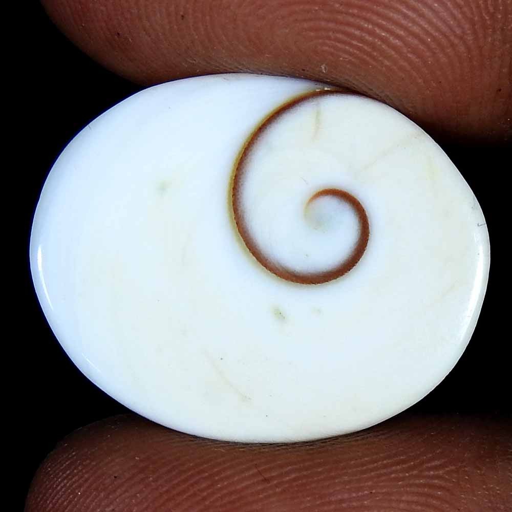 25.80Cts100%Natural Shiva Eye Jasper Oval Cabochon(22x18x5)Loose Gemstone