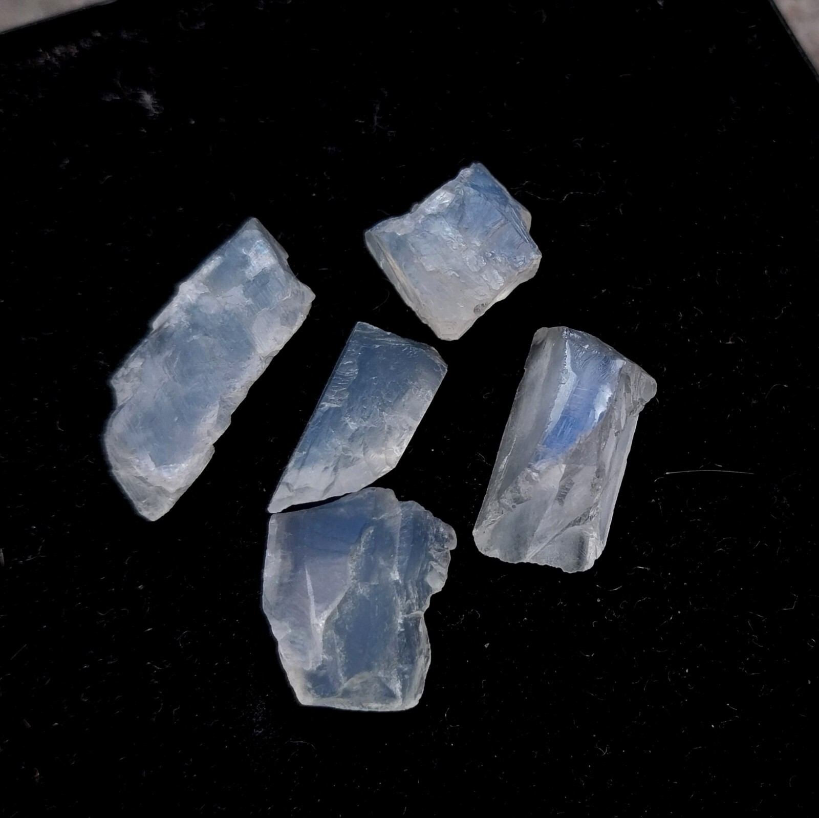 38 Carat 11 to 21 MM Natural White Rainbow Moonstone Rough Raw 5 Piece Lot