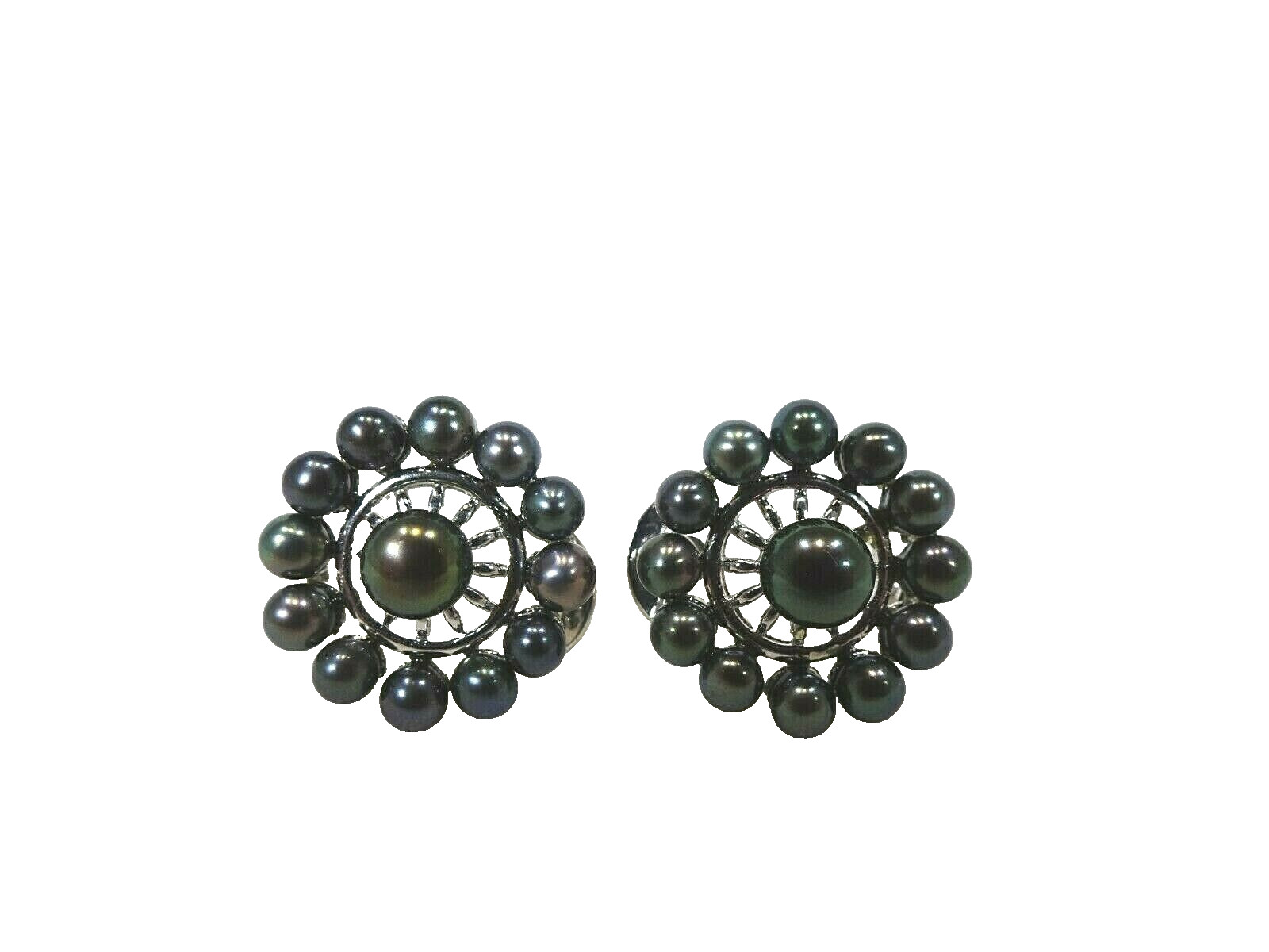 Cultured Freshwater Black Pearl Solid Sterling Silver Omega Back Earrings