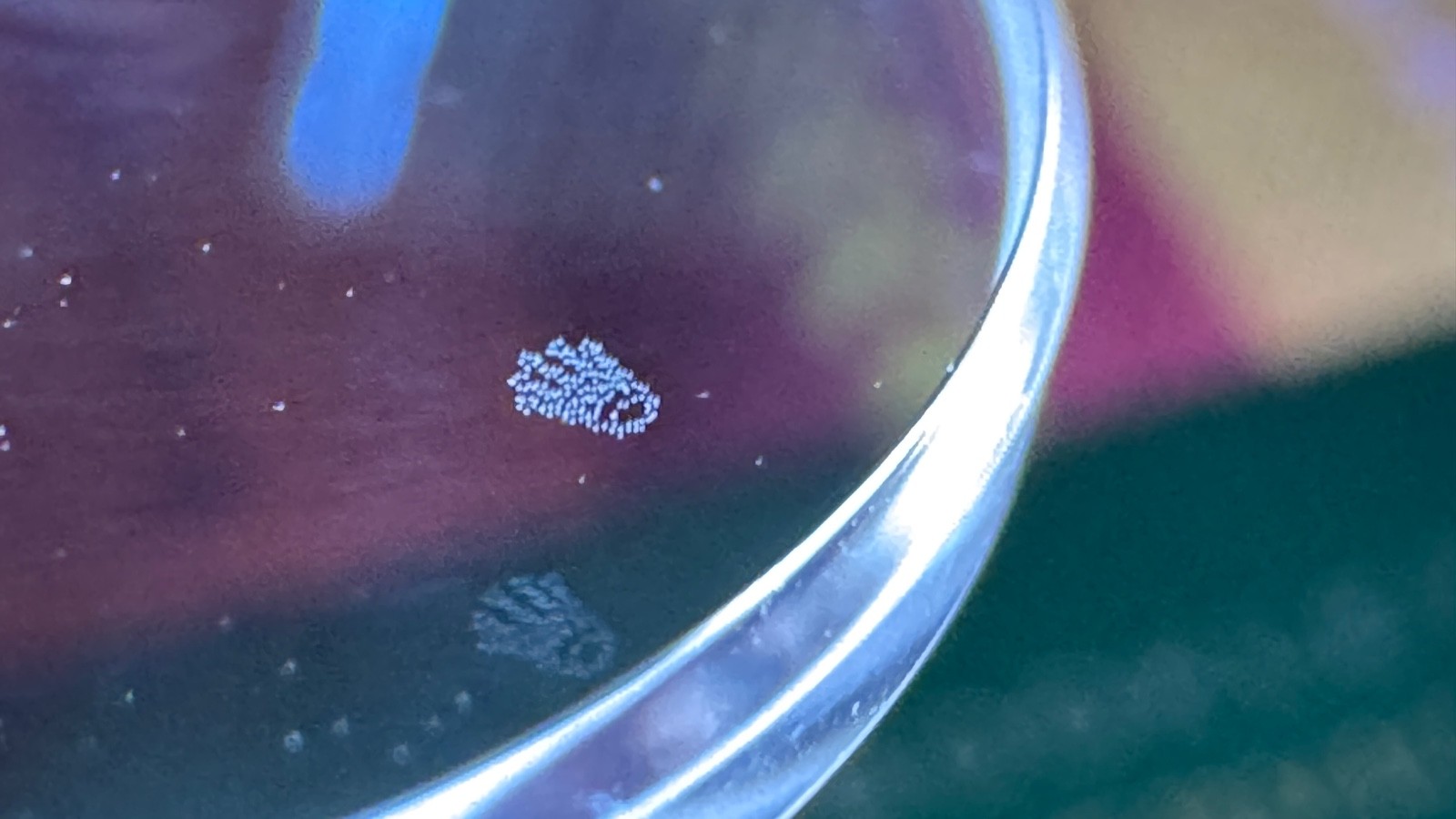 Rolex Sapphire Crystal Swiss Made Rolex Crystal AR LEC – 3.5mm Thickness