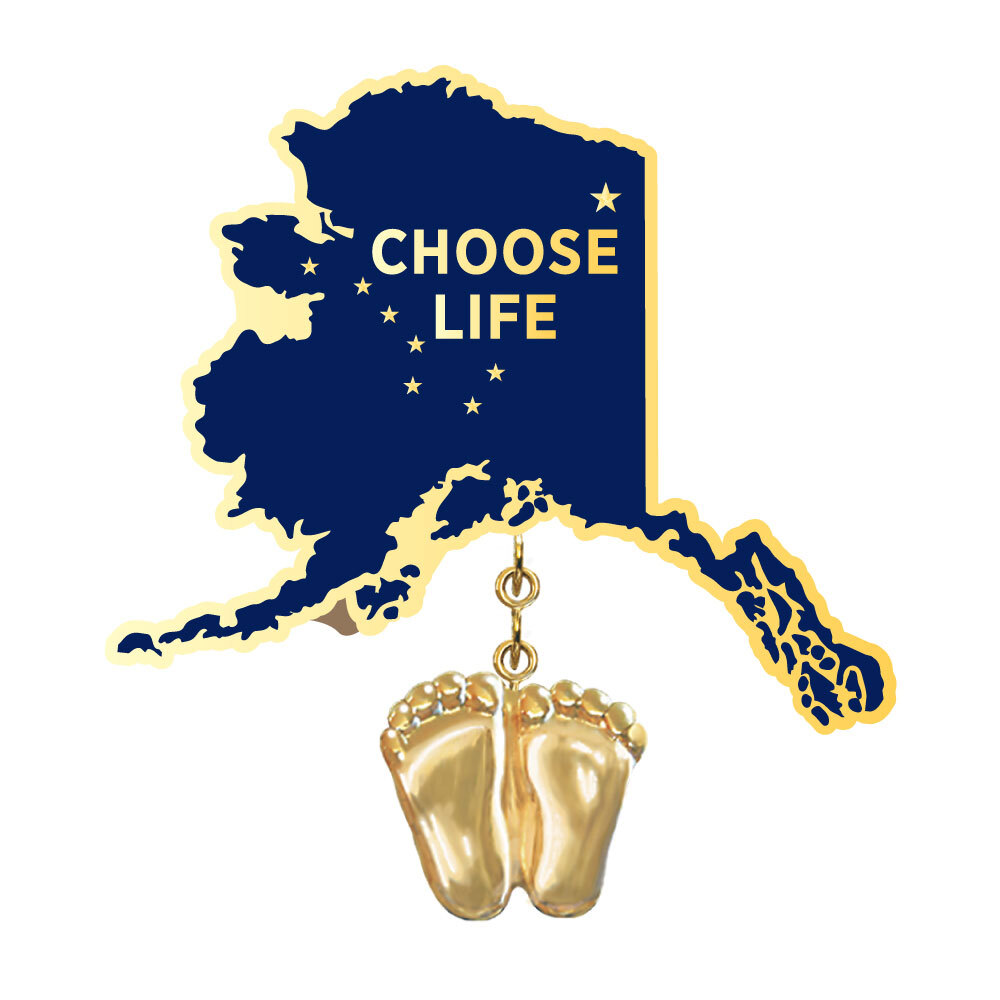 Precious Feet, 14K Gold Plated, Alaska Flag Jewelry, Lapel Pin