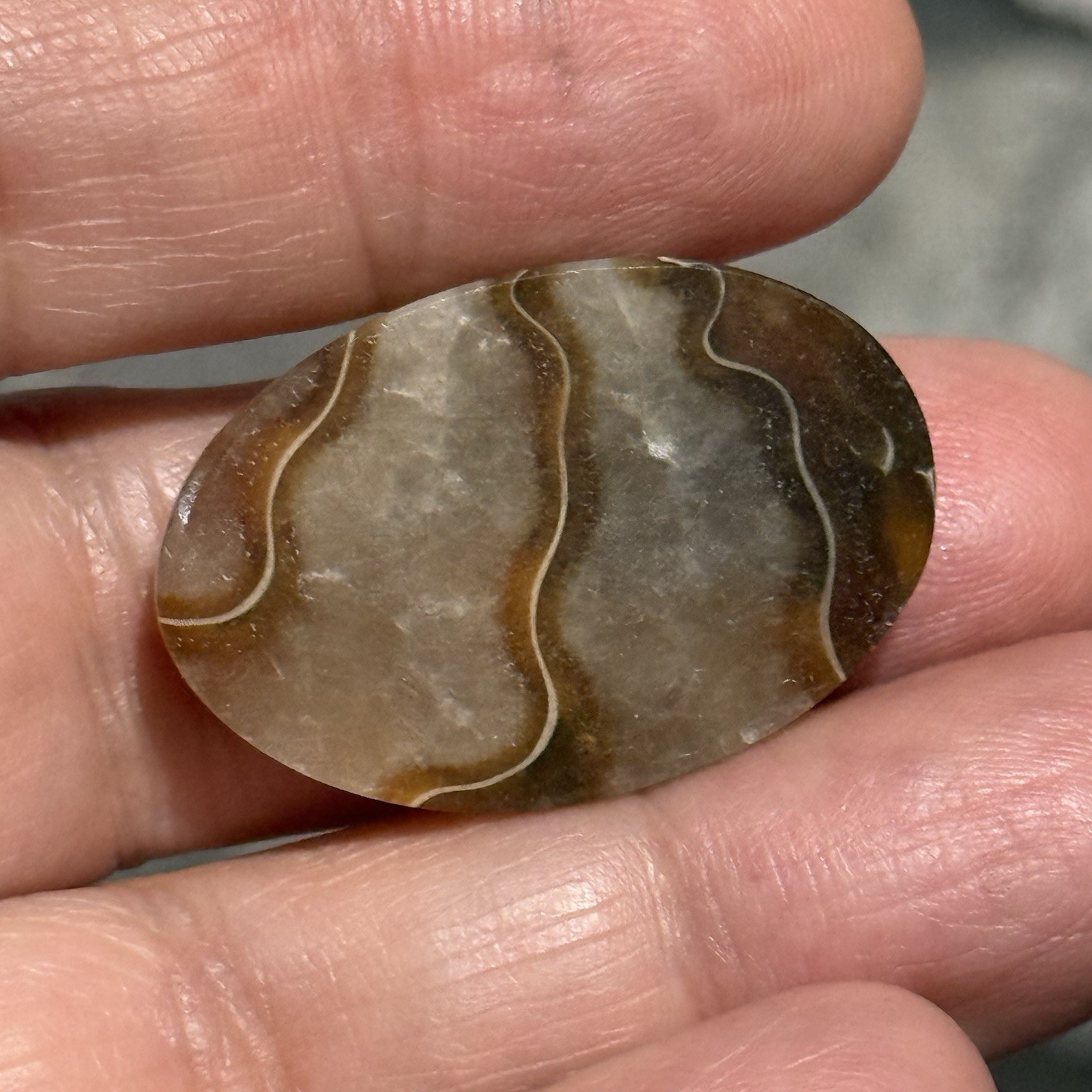 33ct 30×20.6×5.8mm Fine Ammonite Fossil Oval Cabochon Gemstone