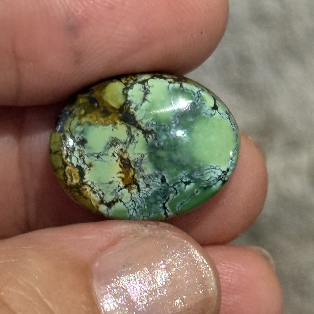 14.10ct 18.7c14.7×6.5mm Green Qingu Mine Turquoise Oval Cabochon Backed Stone