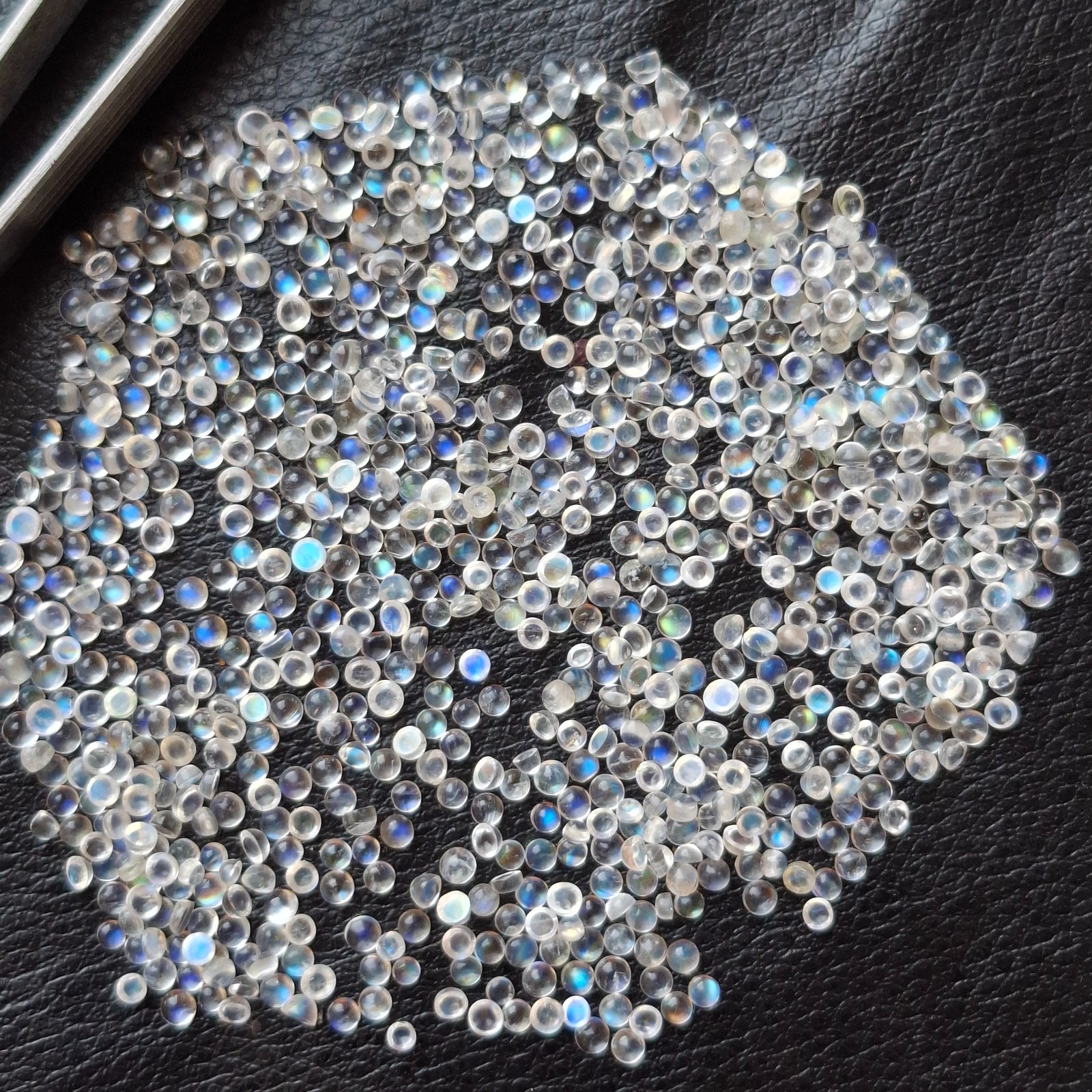 5 Pcs Natural Rainbow Moonstone Round Cabochon 2.5mm Approx AMJ2320
