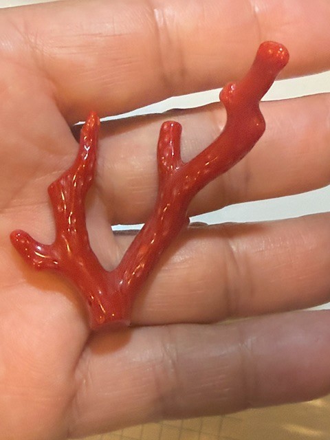 Vintage Style Coral Red Branch 5.59 grams Not dyed, authentic, drilled, CL20