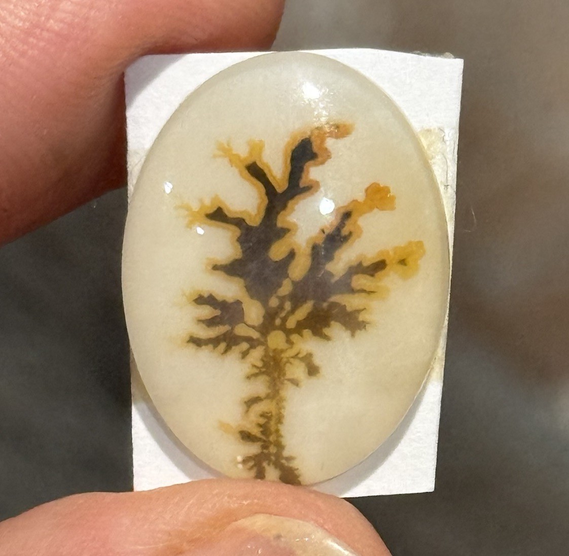 10.7ct 21×15.7×4.2mm Dendritic Agate Crystal Doublet Oval Cabochon Picture Stone