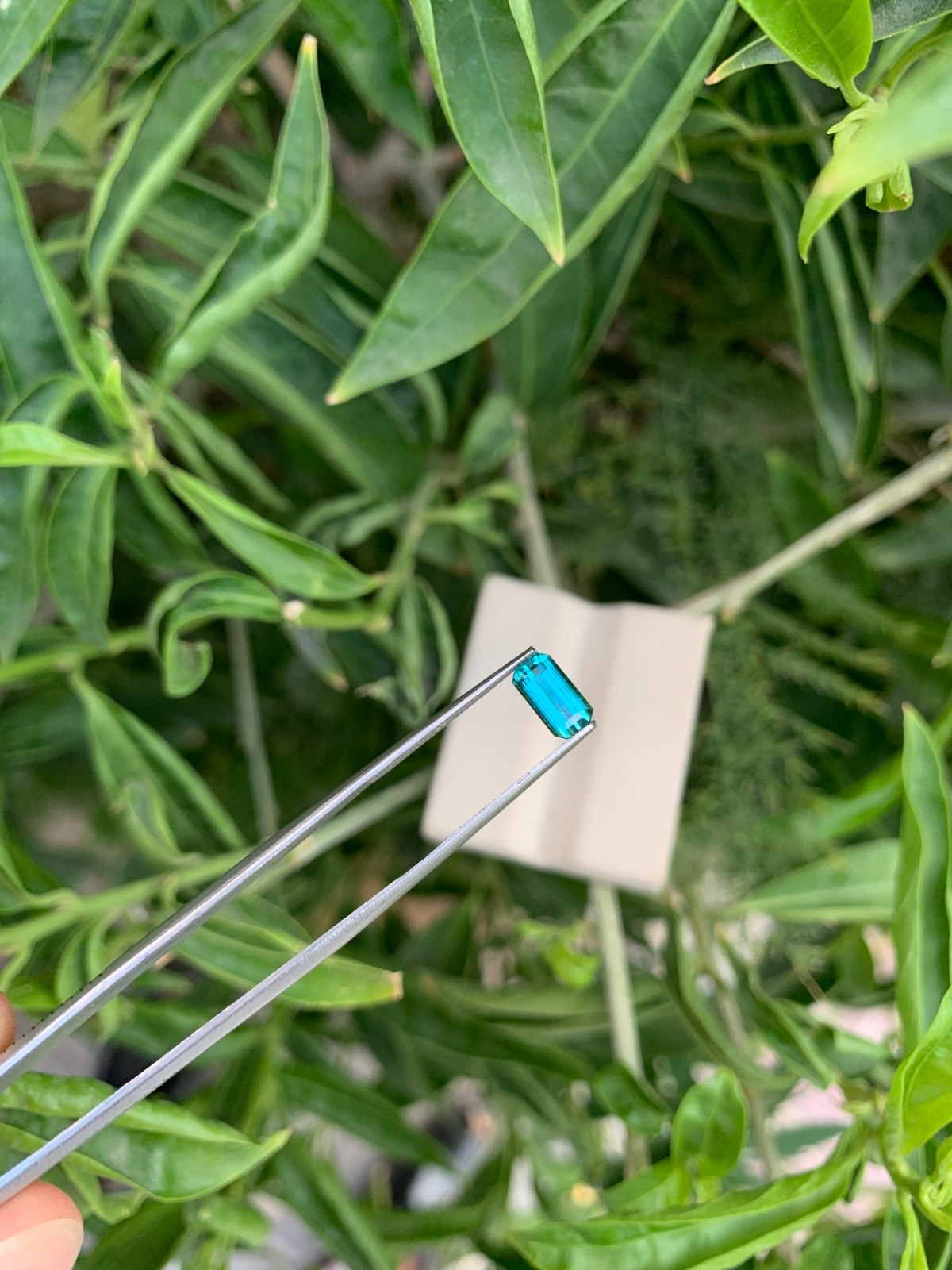 0.98 Ct Natural Lagoon Tourmaline Emerald Cut Faceted Loose Gemstone Afghanistan