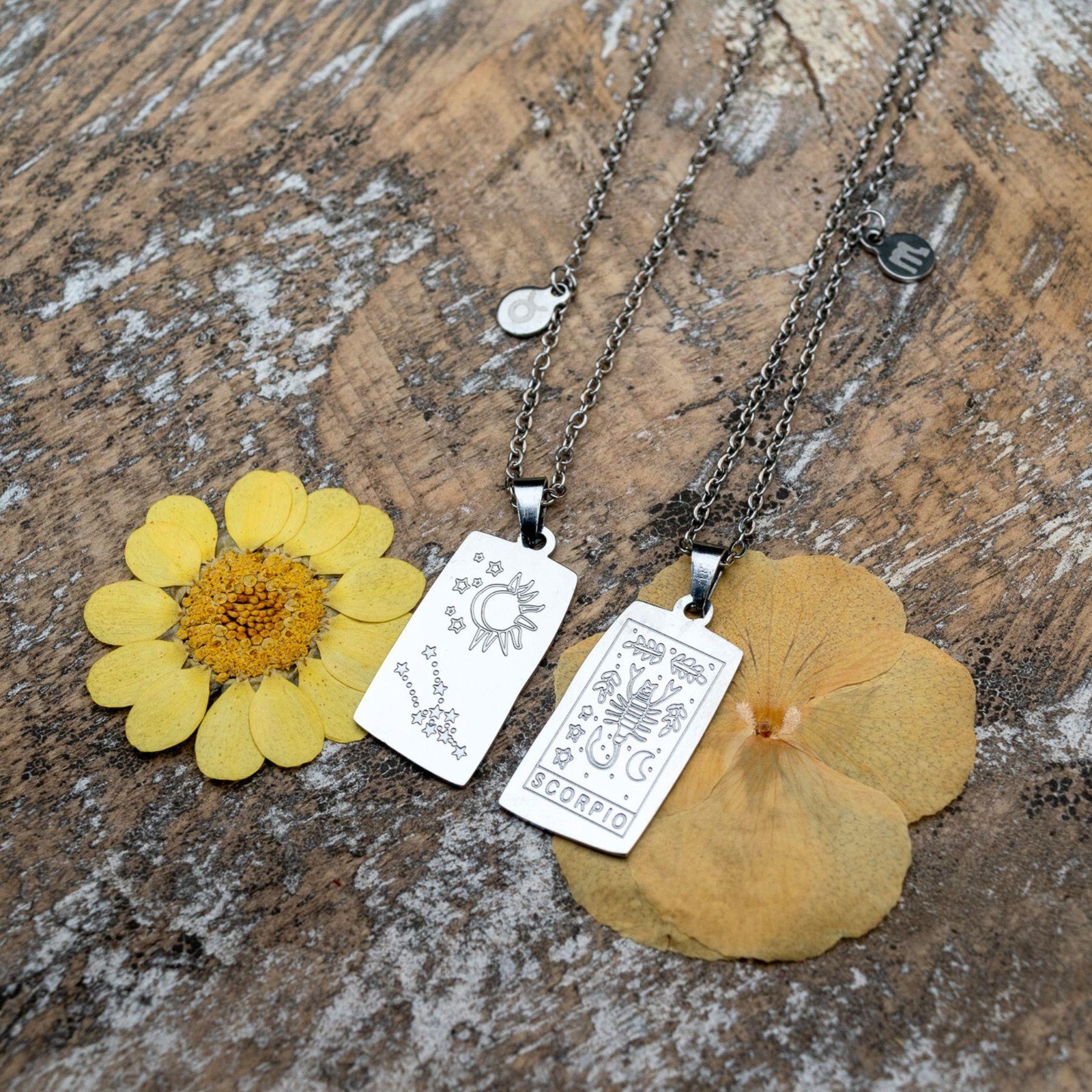 Zodiac Tarot Card & Astrology Necklace