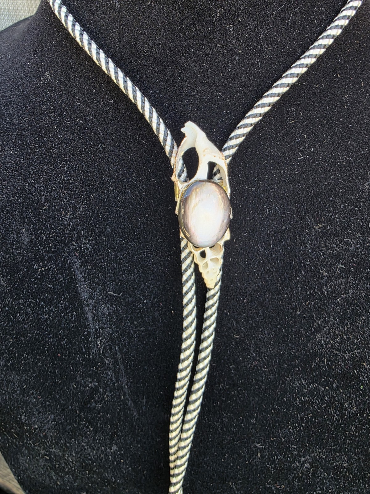 Bolo Tie. . Lavander Stone. Shells. 34″