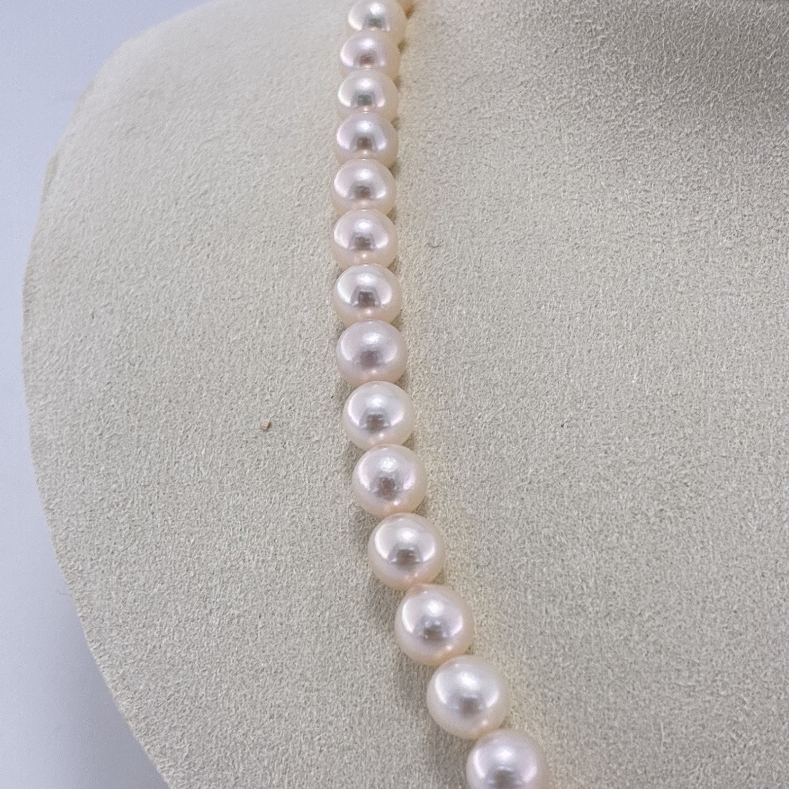 7-7.5mm Pearl Japanese Akoya White-Rose Necklace Silver 17.0″