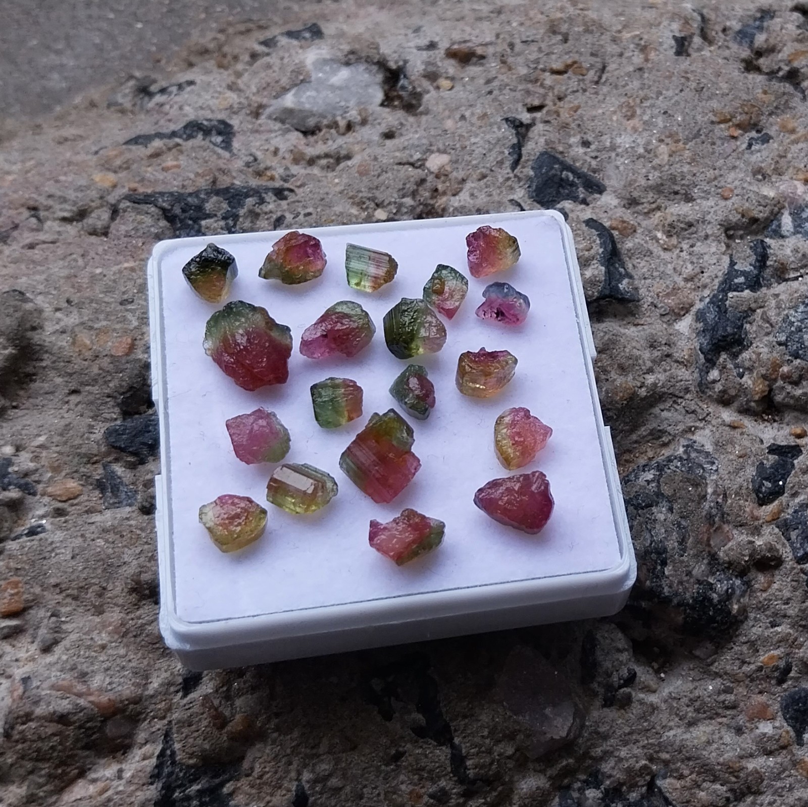 25.5 Ct 4 to 9 MM Natural Watermelon Bi-Color Tourmaline Raw Rough 19 Piece Lot