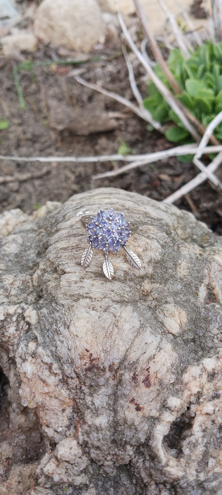 Tanazanite Dream Catcher Ring SZ8. In Rhodium Over Sterling Silver 1.90ctw