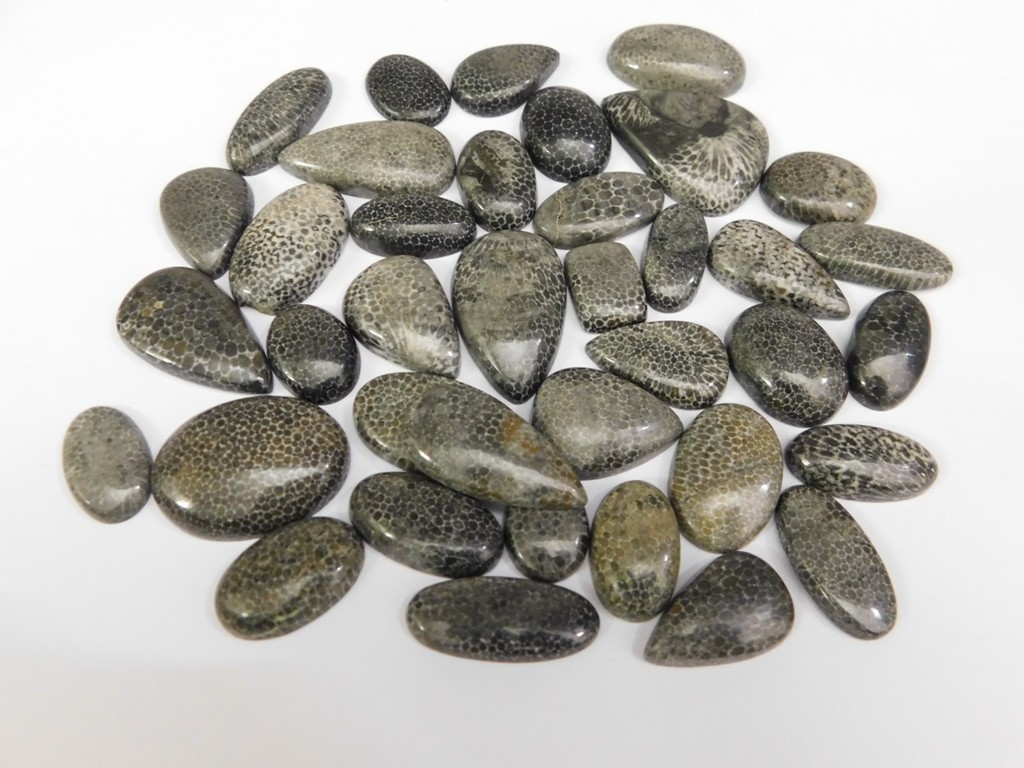 Natural Black Fossil Gemstone Cabochon, Best For Unique Jewelry Creation 71302
