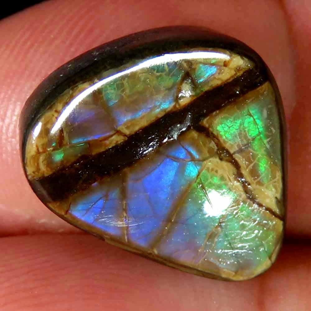 9.45Cts Charming 100% Natural Ammolite Canadian Cab 12x16x4mm Original Gemstone